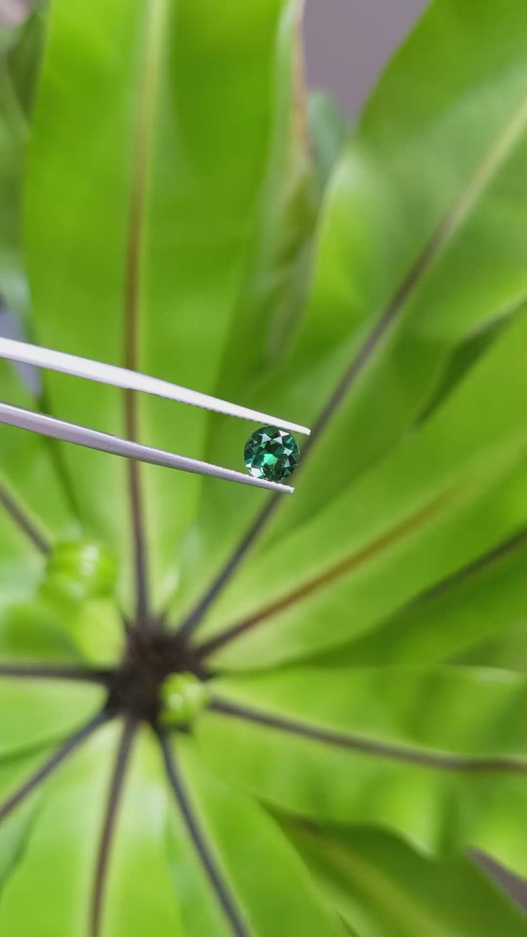 1.02 Ct. Tourmaline from Brazil Size Video