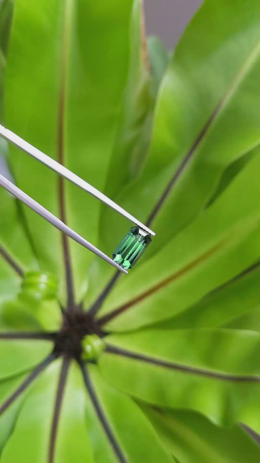 3.36 Ct. Tourmaline from Afghanistan Size Video