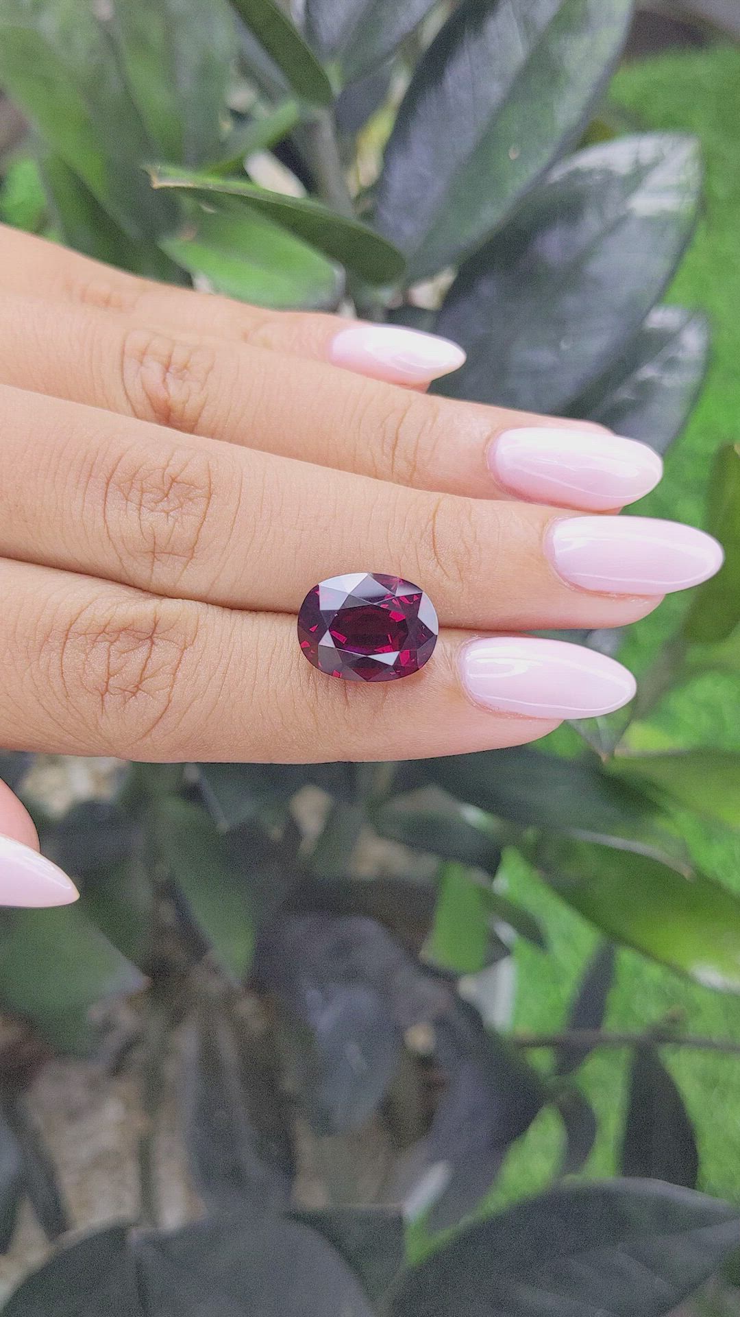 9.85 Ct. Rhodolite Garnet from Tanzania Size Video