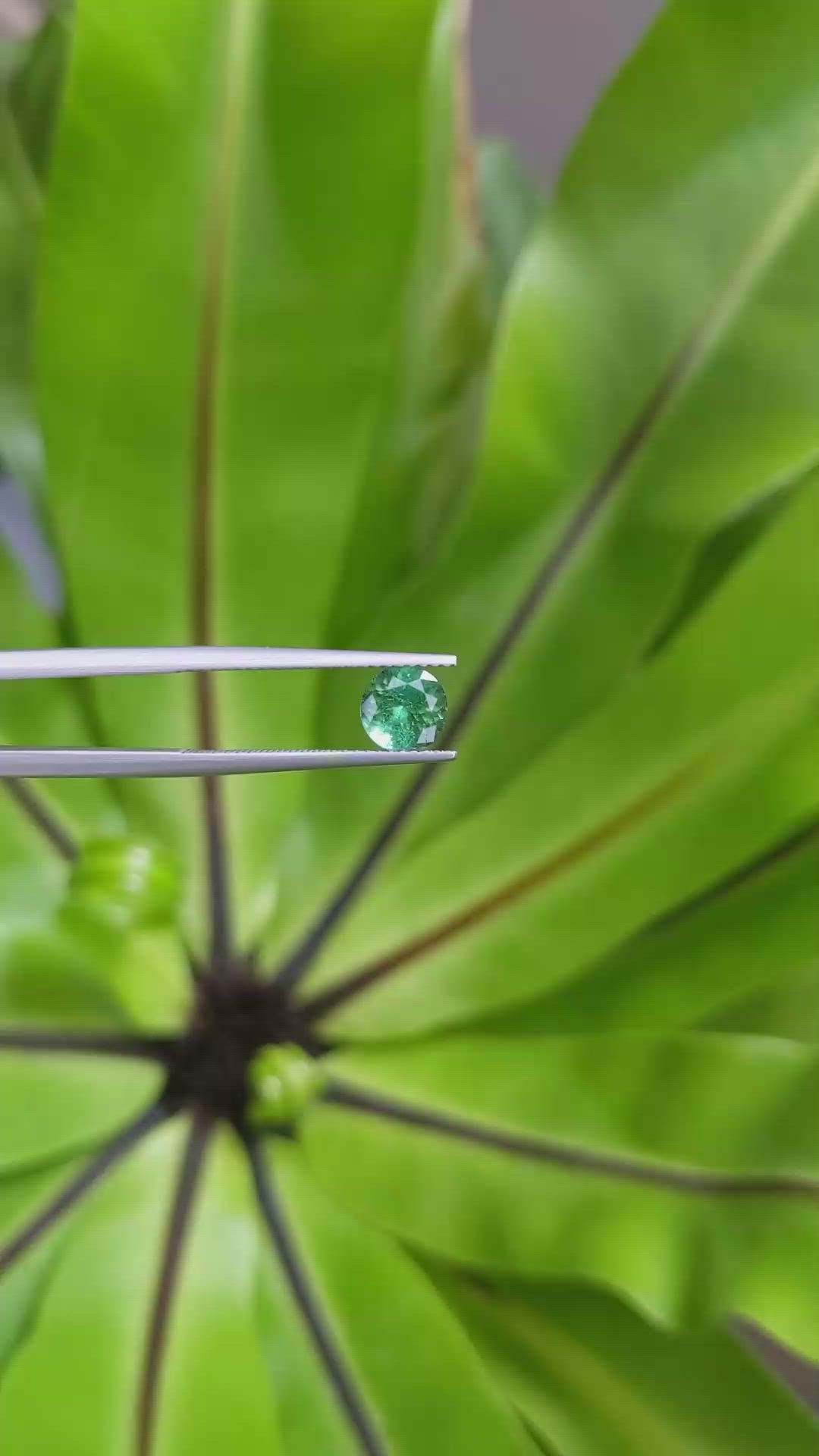 1.10 Ct. Tourmaline from Brazil Size Video