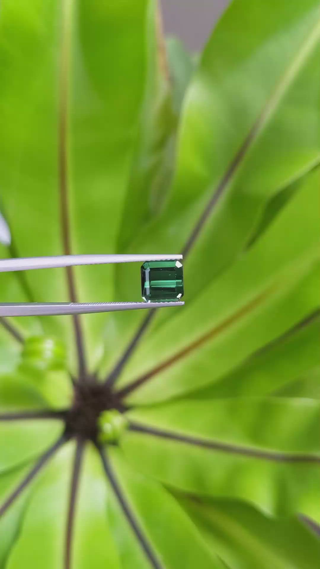2.37 Ct. Tourmaline from Mozambique Size Video