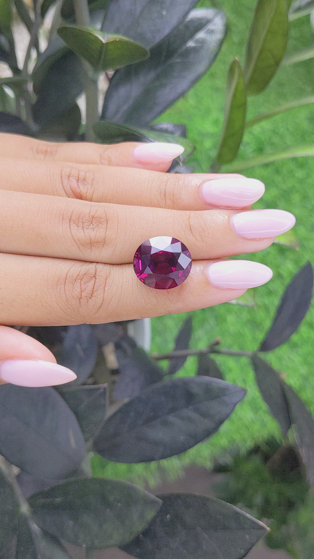 16.66 Ct. Rhodolite Garnet from Tanzania Size Video