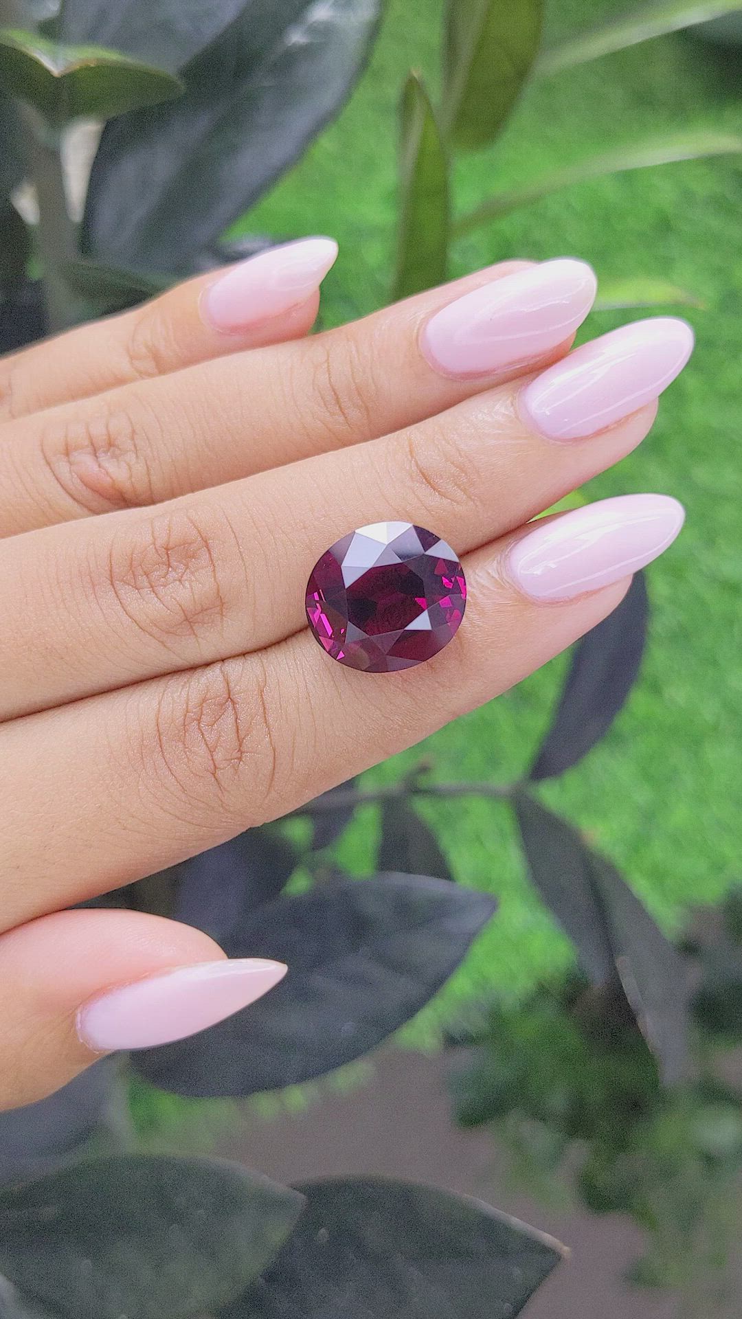 16.66 Ct. Rhodolite Garnet from Tanzania Size Video