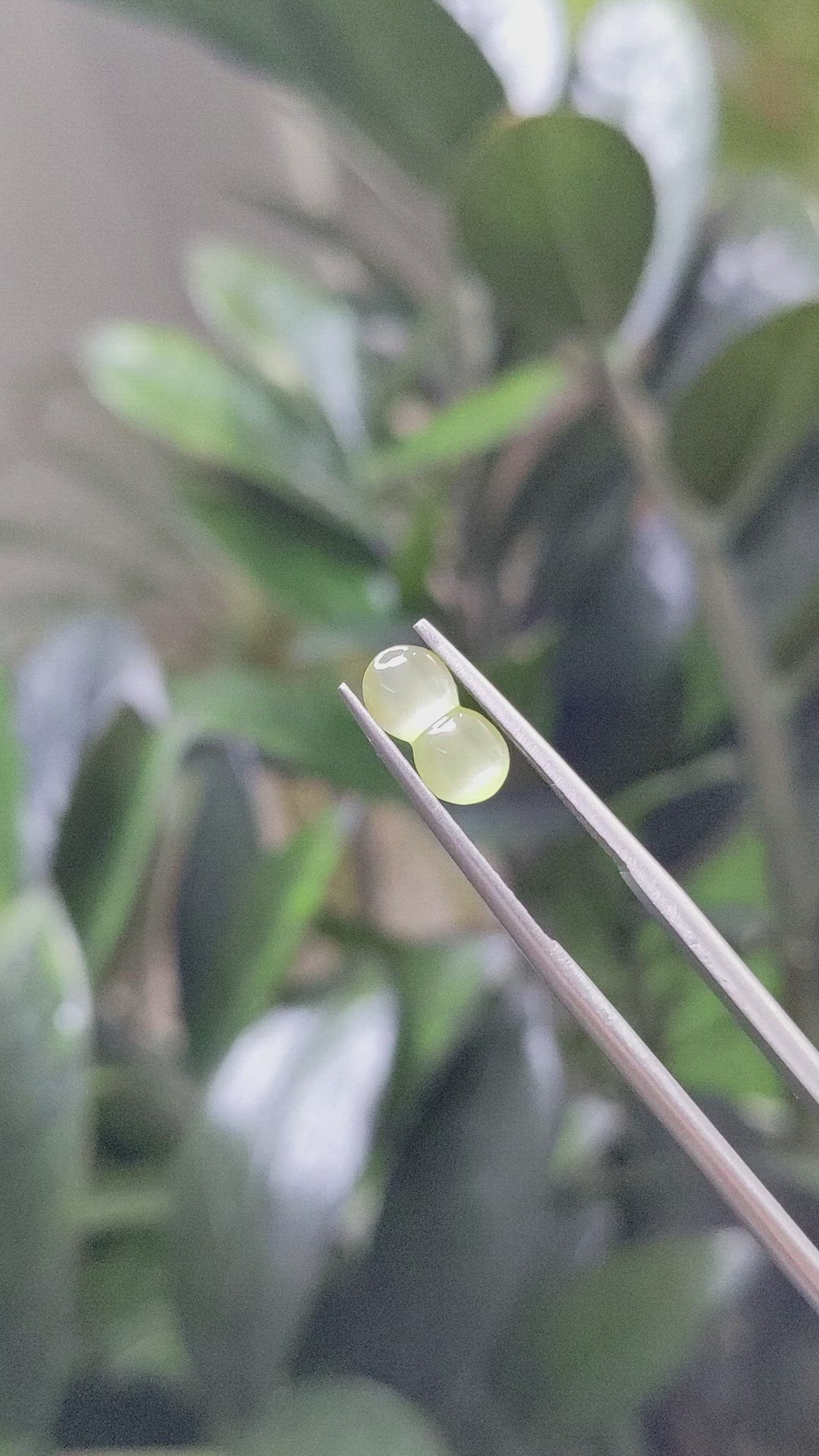 1.54 Ct. Cabochon Chrysoberyl from Ceylon (Sri Lanka) Size Video