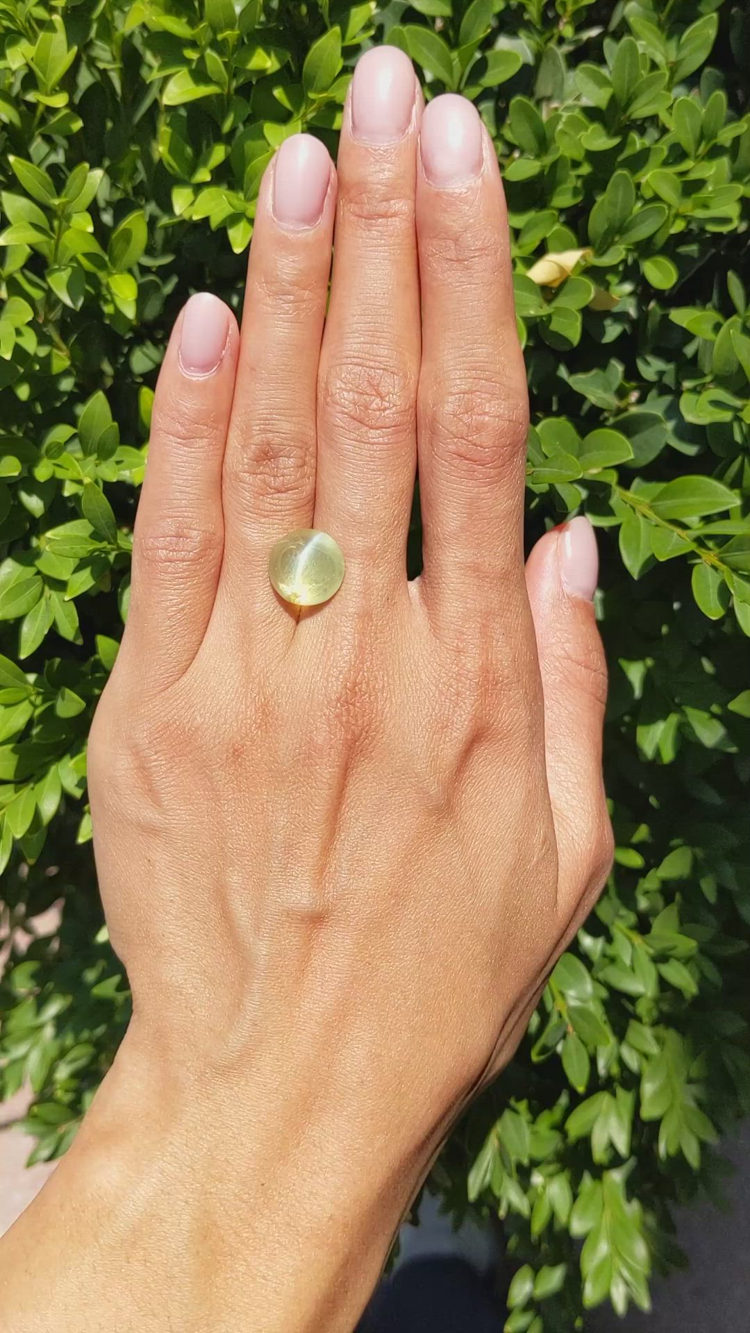 9.94 Ct. Cabochon Chrysoberyl from Ceylon (Sri Lanka) Size Video