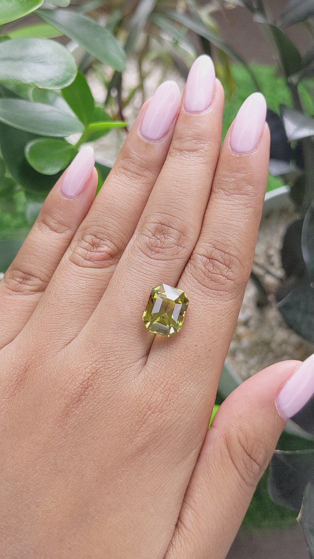 8.53 Ct. Chrysoberyl from Ceylon (Sri Lanka) Size Video