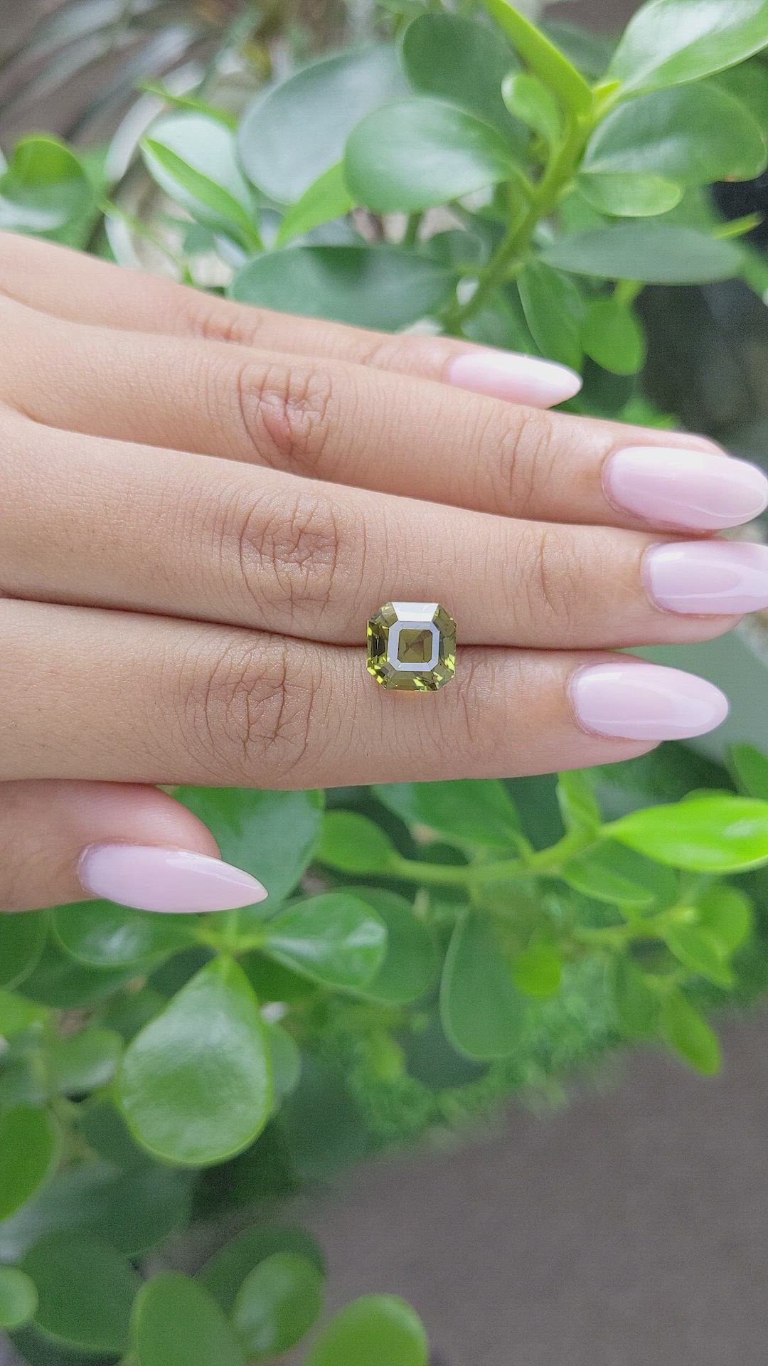 5.04 Ct. Chrysoberyl from Ceylon (Sri Lanka) Size Video