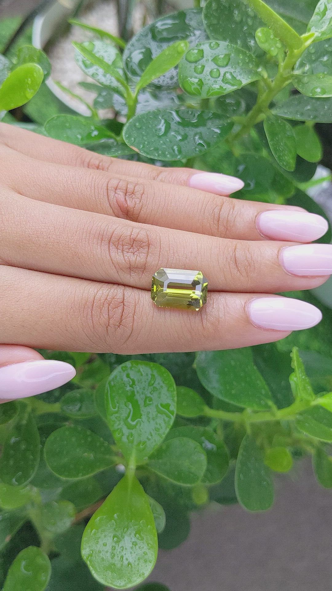 8.20 Ct. Chrysoberyl from Ceylon (Sri Lanka) Size Video