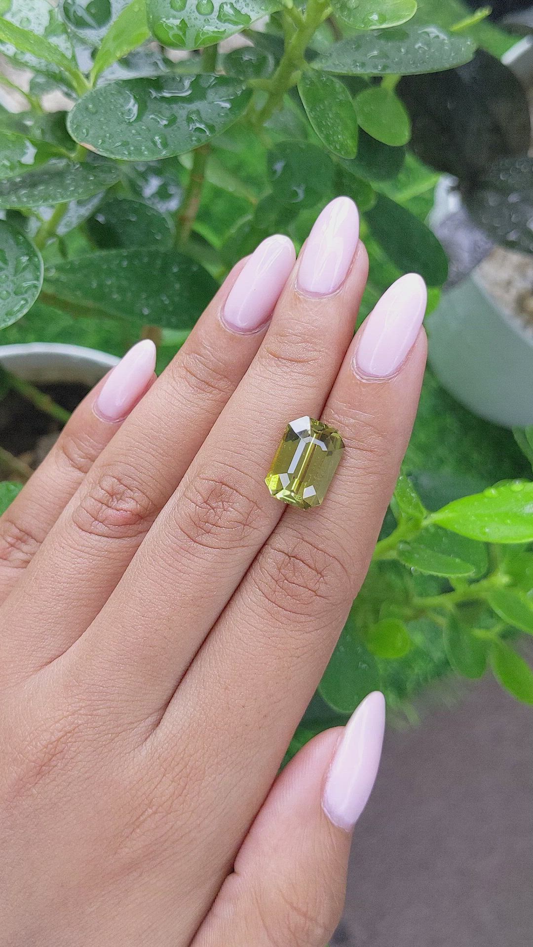 8.20 Ct. Chrysoberyl from Ceylon (Sri Lanka) Size Video