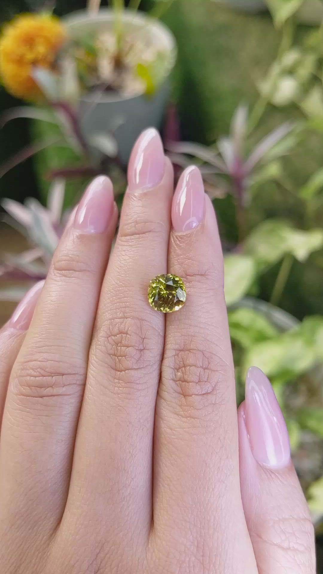 3.04 Ct. Chrysoberyl from Ceylon (Sri Lanka) Size Video