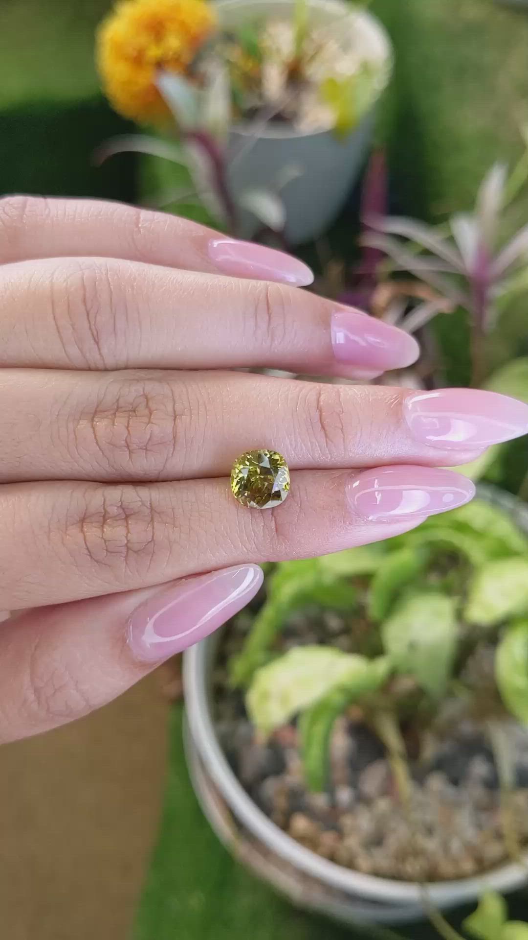 3.04 Ct. Chrysoberyl from Ceylon (Sri Lanka) Size Video