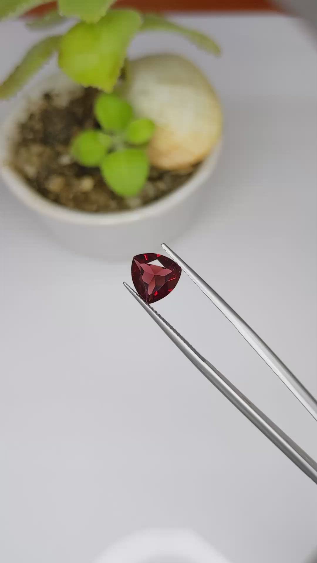 2.40 Ct. Garnet from Ceylon (Sri Lanka) Size Video