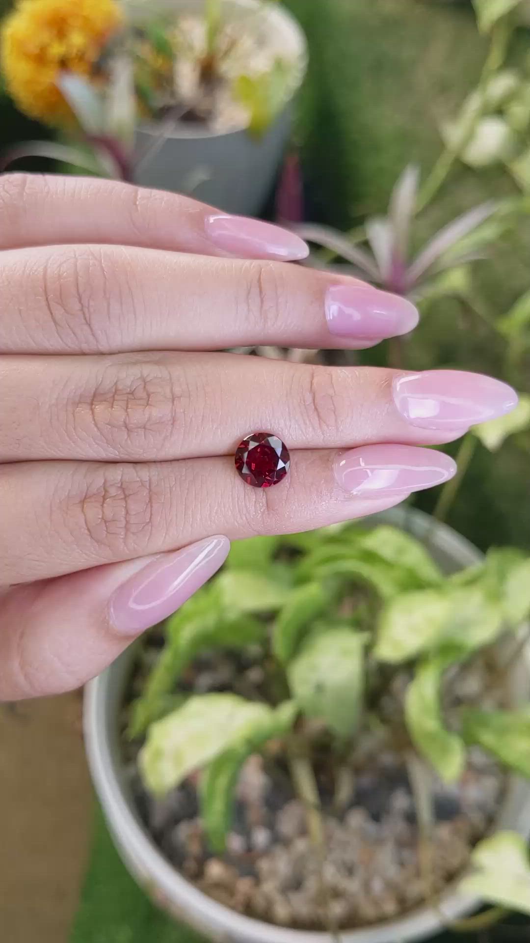 2.01 Ct. Garnet from Ceylon (Sri Lanka) Size Video