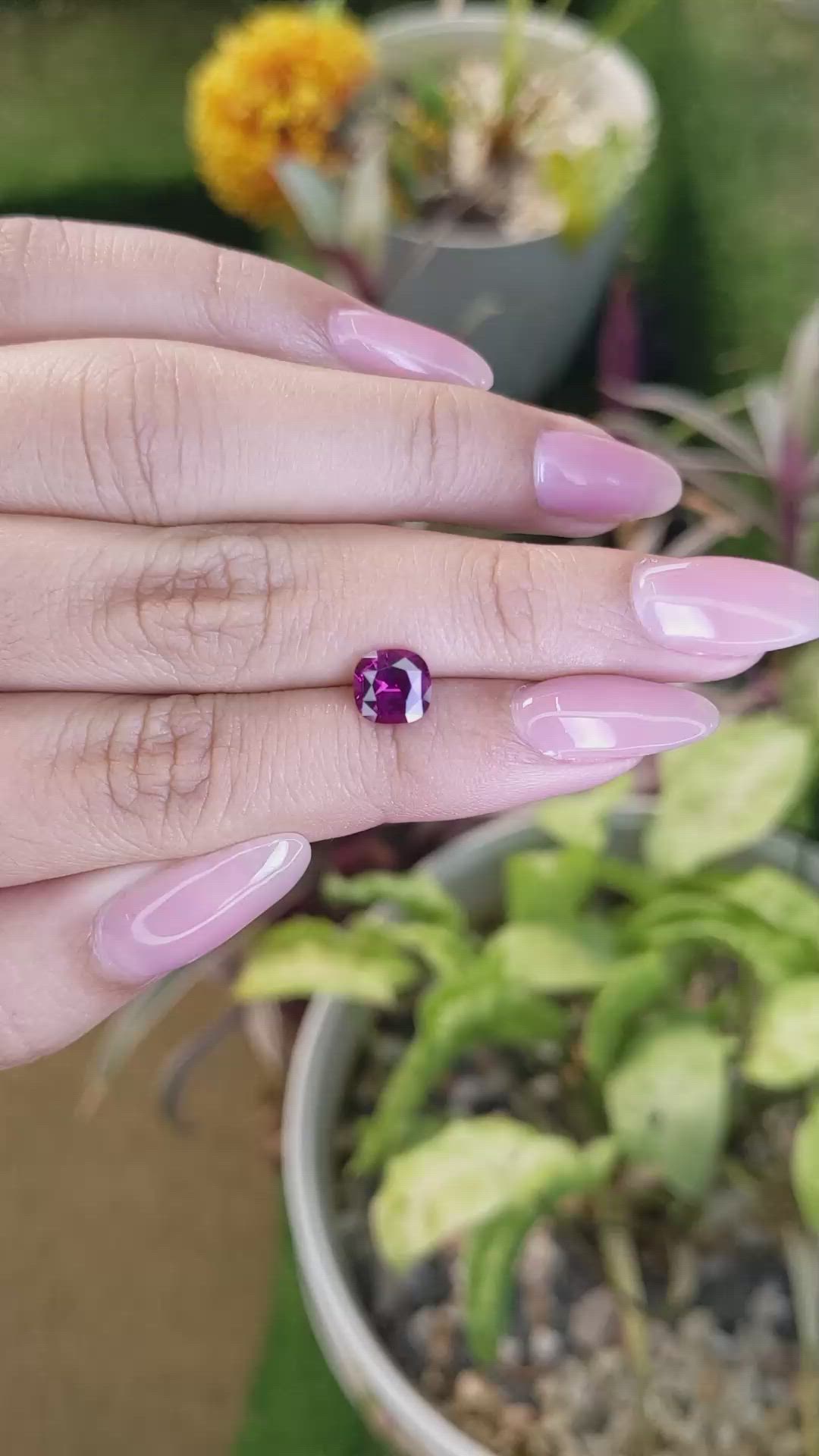 1.49 Ct. Garnet from Ceylon (Sri Lanka) Size Video