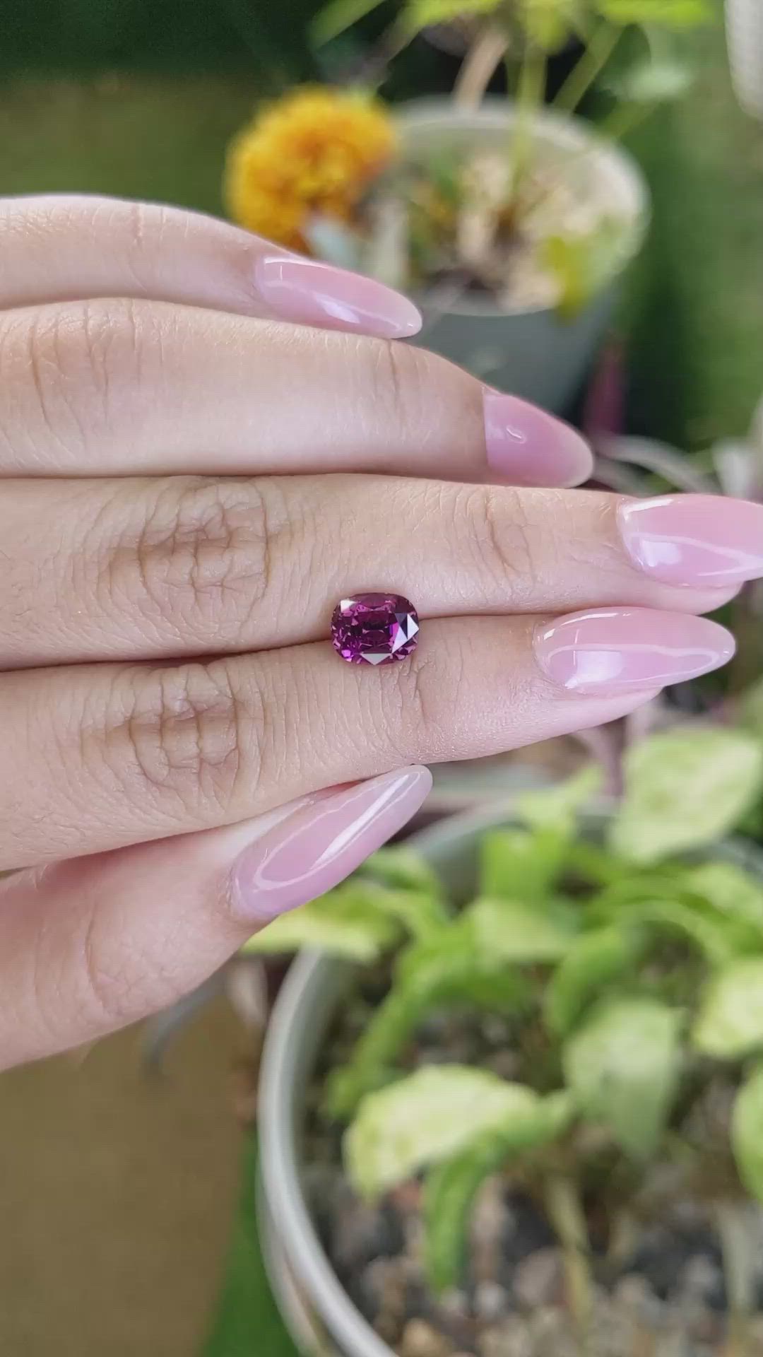 2.27 Ct. Garnet from Ceylon (Sri Lanka) Size Video