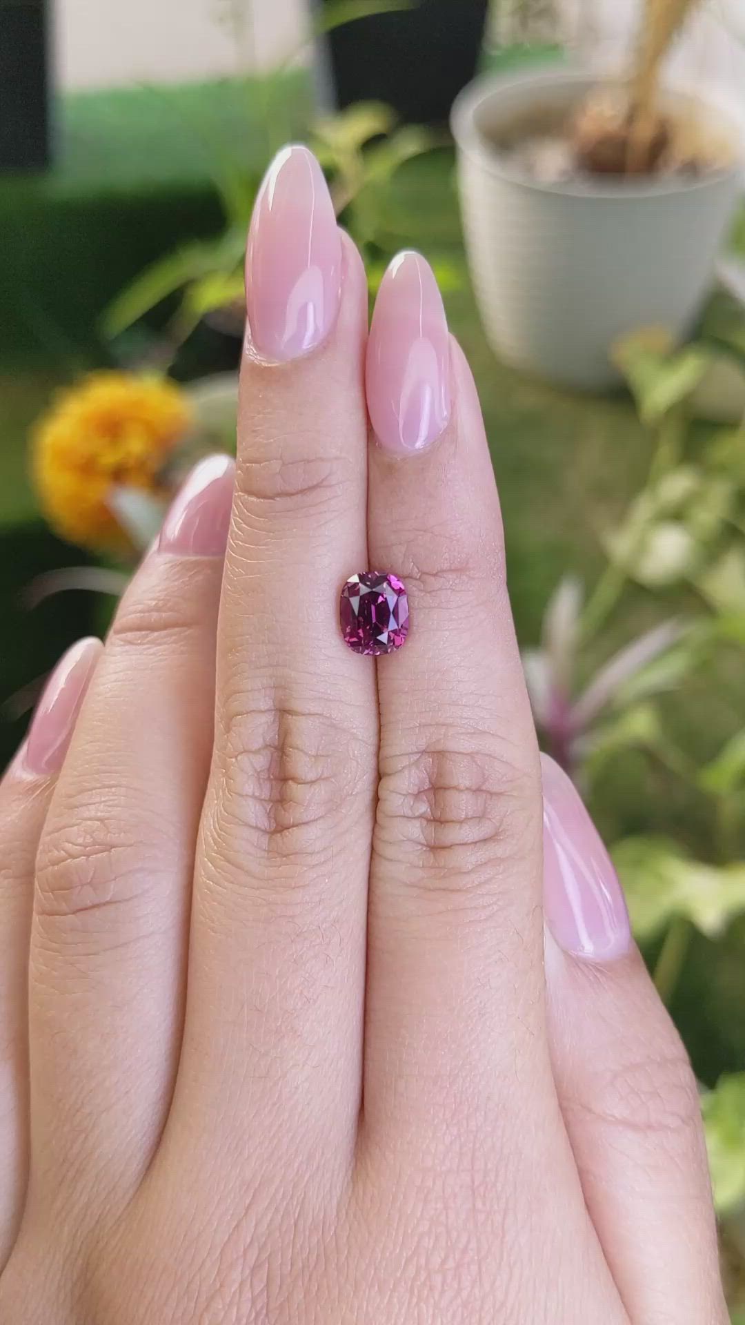 2.27 Ct. Garnet from Ceylon (Sri Lanka) Size Video