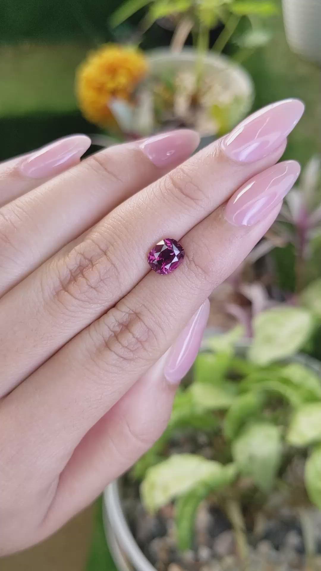 2.27 Ct. Garnet from Ceylon (Sri Lanka) Size Video