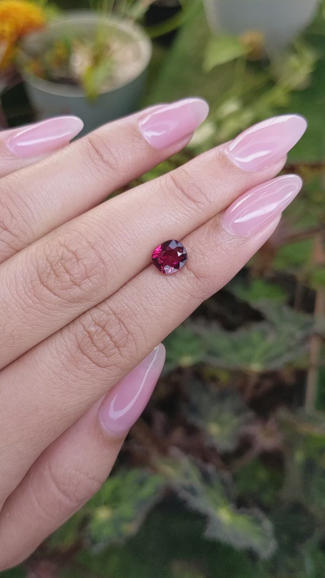 1.63 Ct. Garnet from Ceylon (Sri Lanka) Size Video