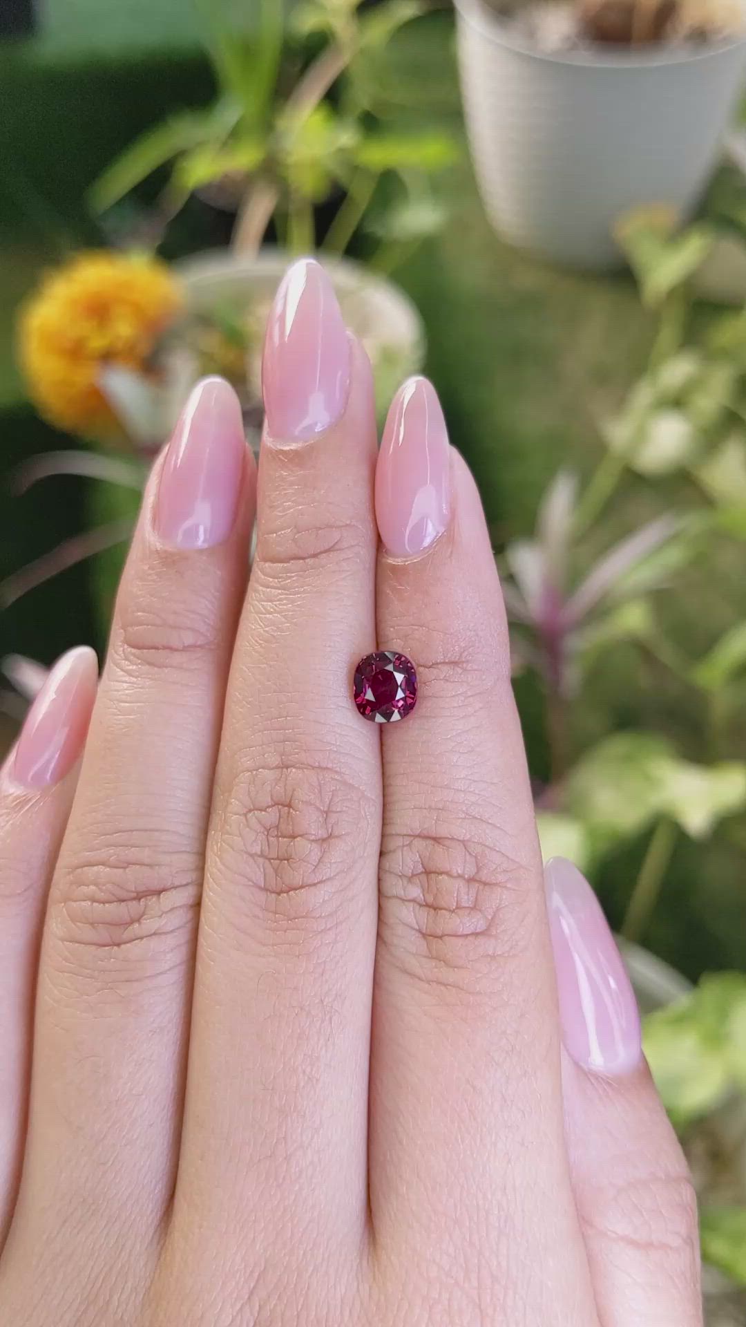 1.63 Ct. Garnet from Ceylon (Sri Lanka) Size Video