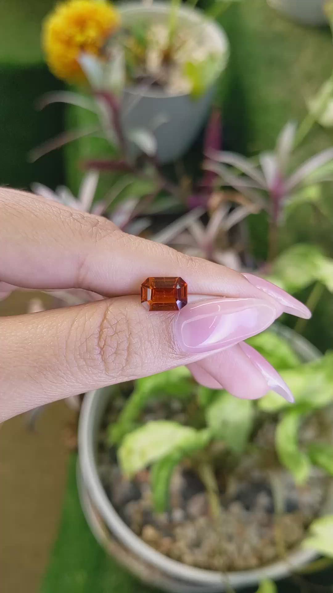 2.38 Ct. Garnet from Ceylon (Sri Lanka) Size Video