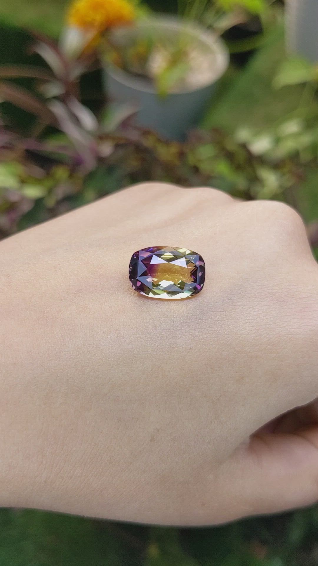 6.01 Ct. Ametrine from Ceylon (Sri Lanka) Size Video