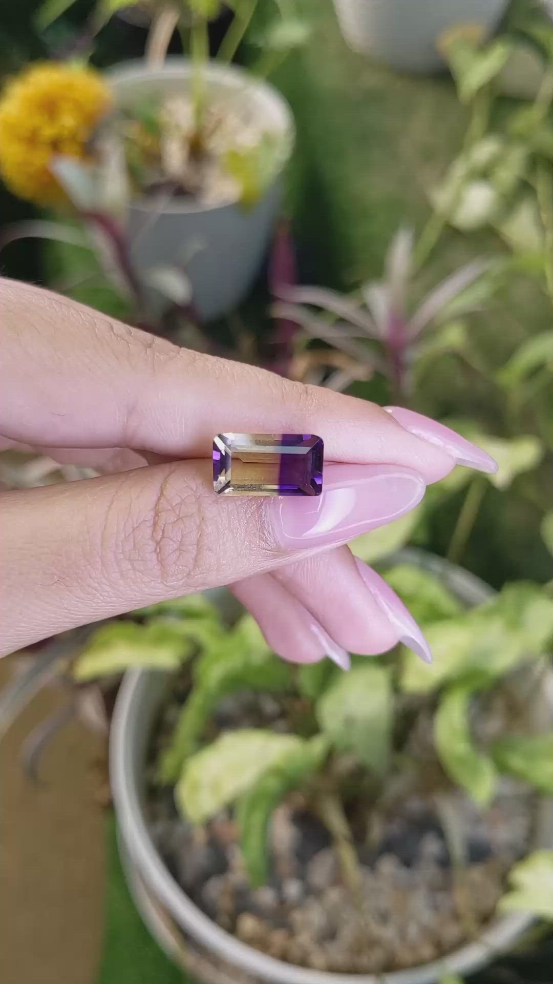 5.96 Ct. Ametrine from Ceylon (Sri Lanka) Size Video