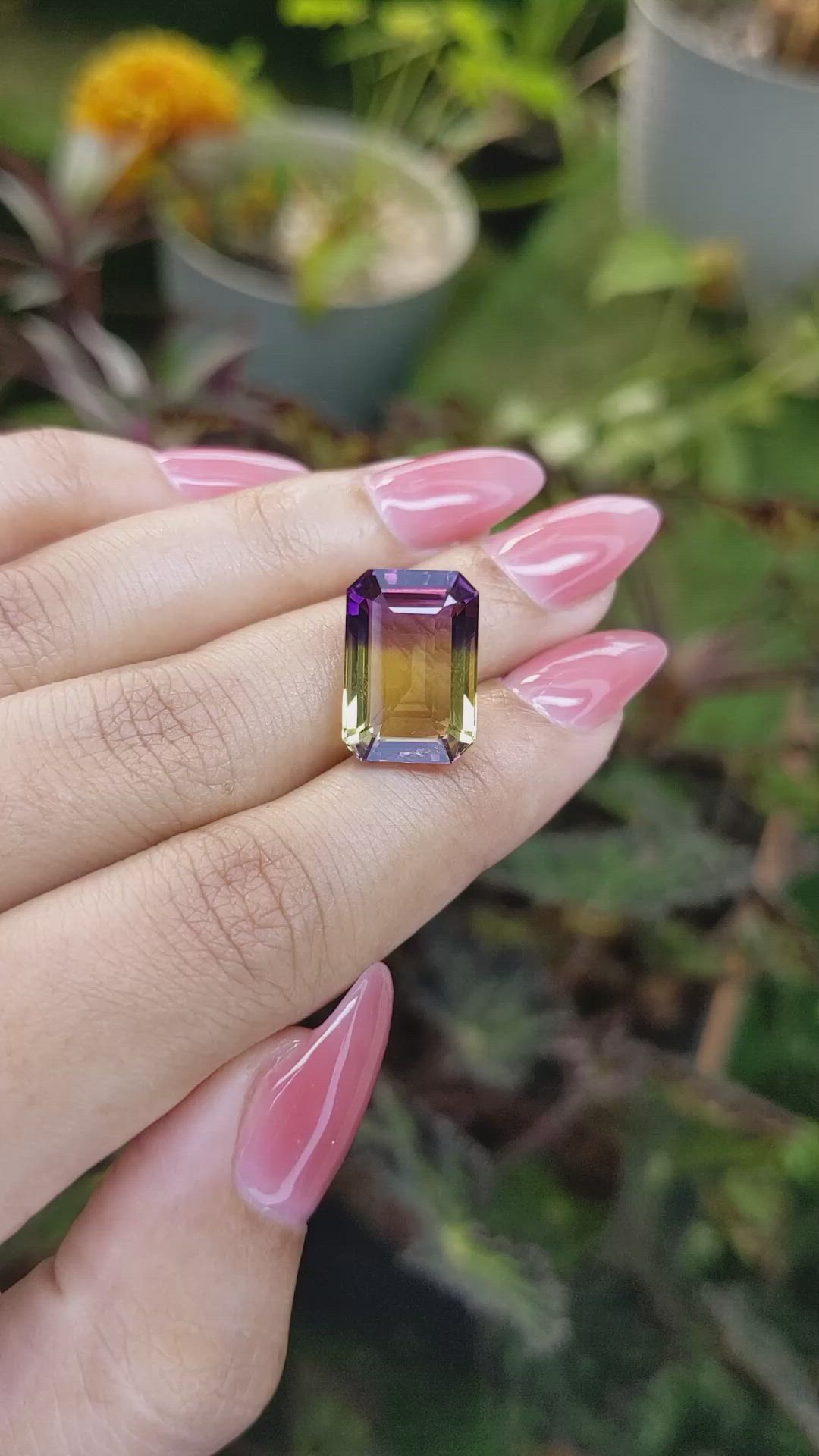 10.29 Ct. Ametrine from Ceylon (Sri Lanka) Size Video