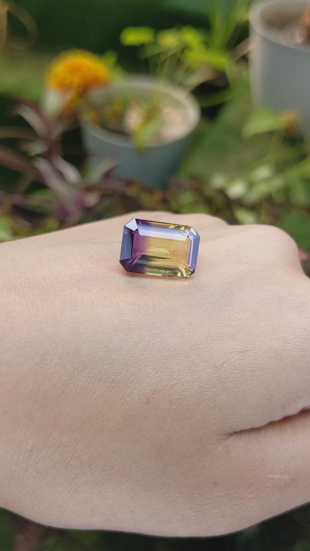 10.29 Ct. Ametrine from Ceylon (Sri Lanka) Size Video