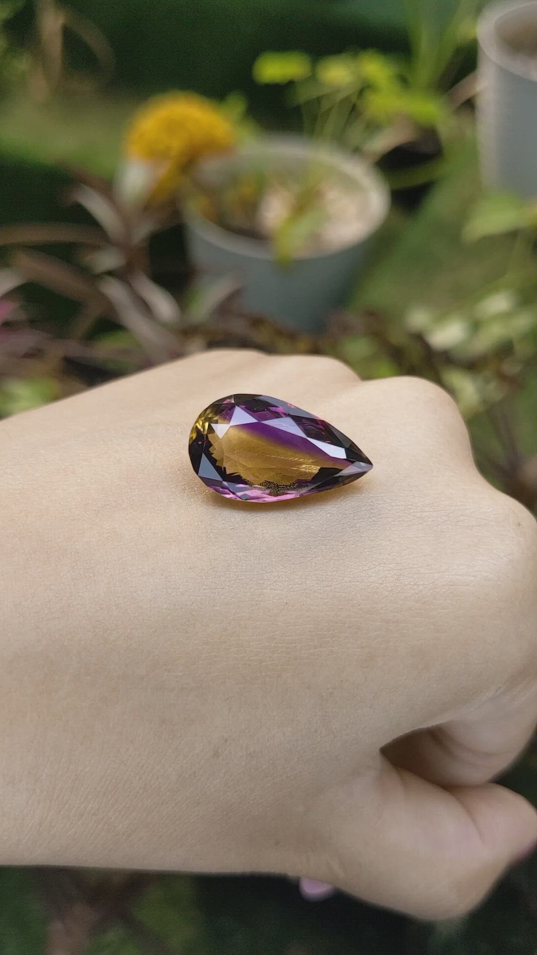 13.82 Ct. Ametrine from Ceylon (Sri Lanka) Size Video