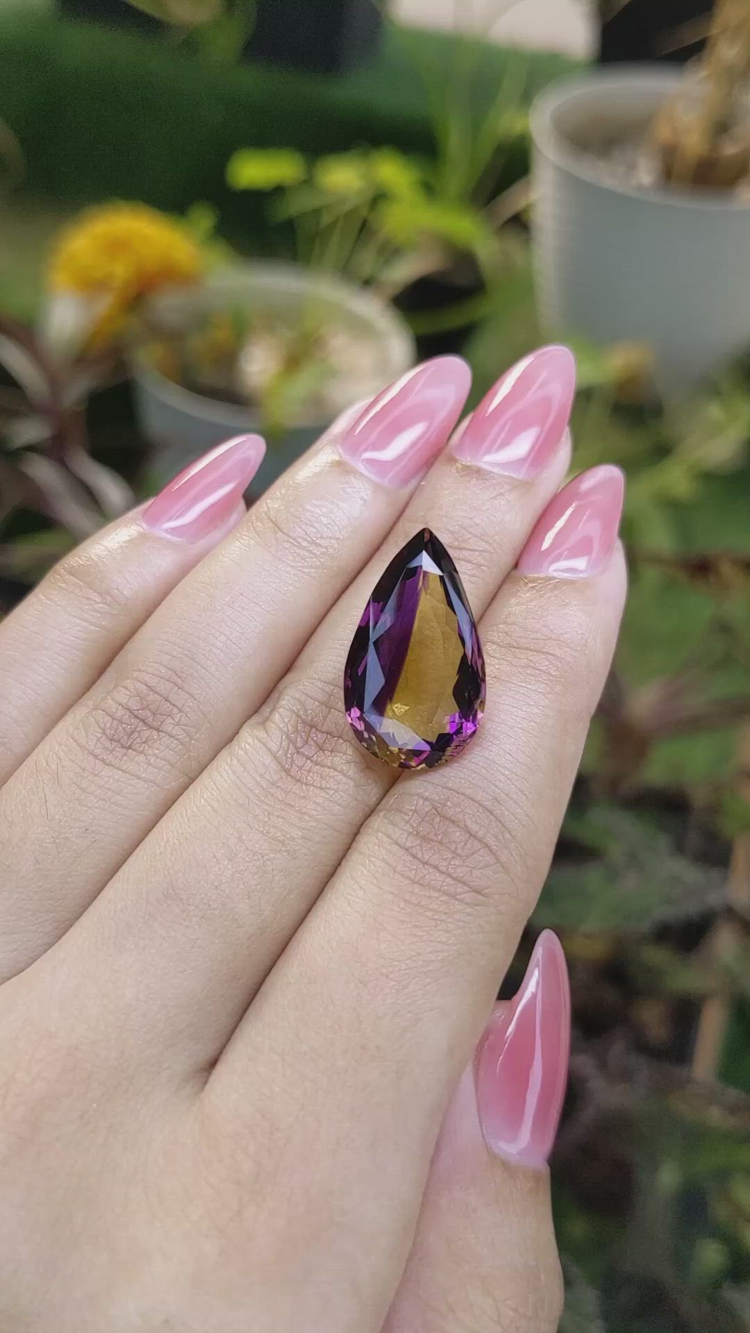 13.82 Ct. Ametrine from Ceylon (Sri Lanka) Size Video