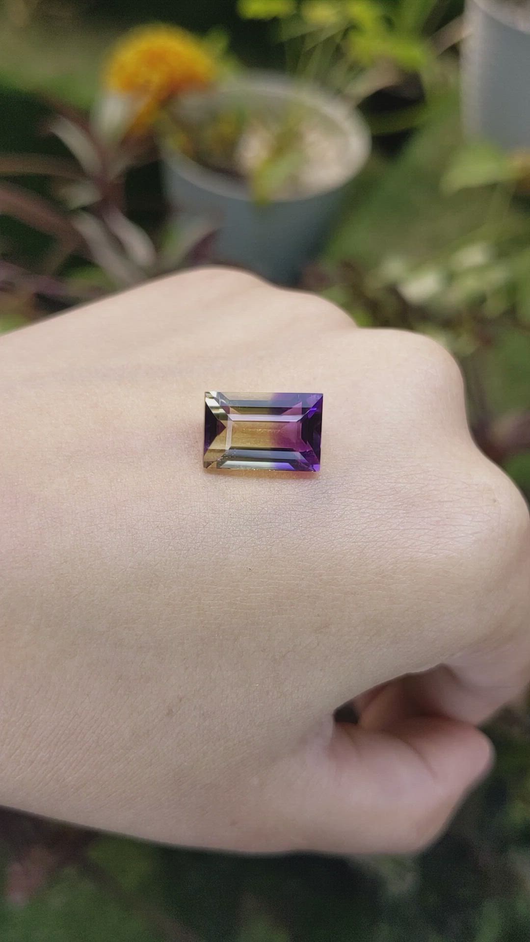 7.10 Ct. Ametrine from Ceylon (Sri Lanka) Size Video