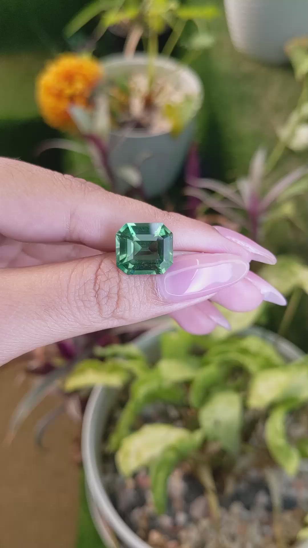 7.26 Ct. Prasiolite from Madagascar Size Video