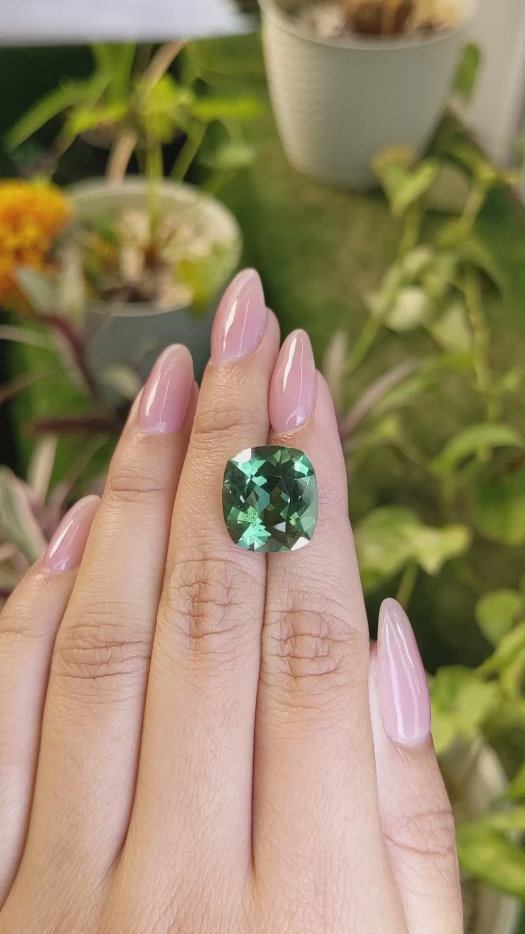 11.91 Ct. Prasiolite from Madagascar Size Video