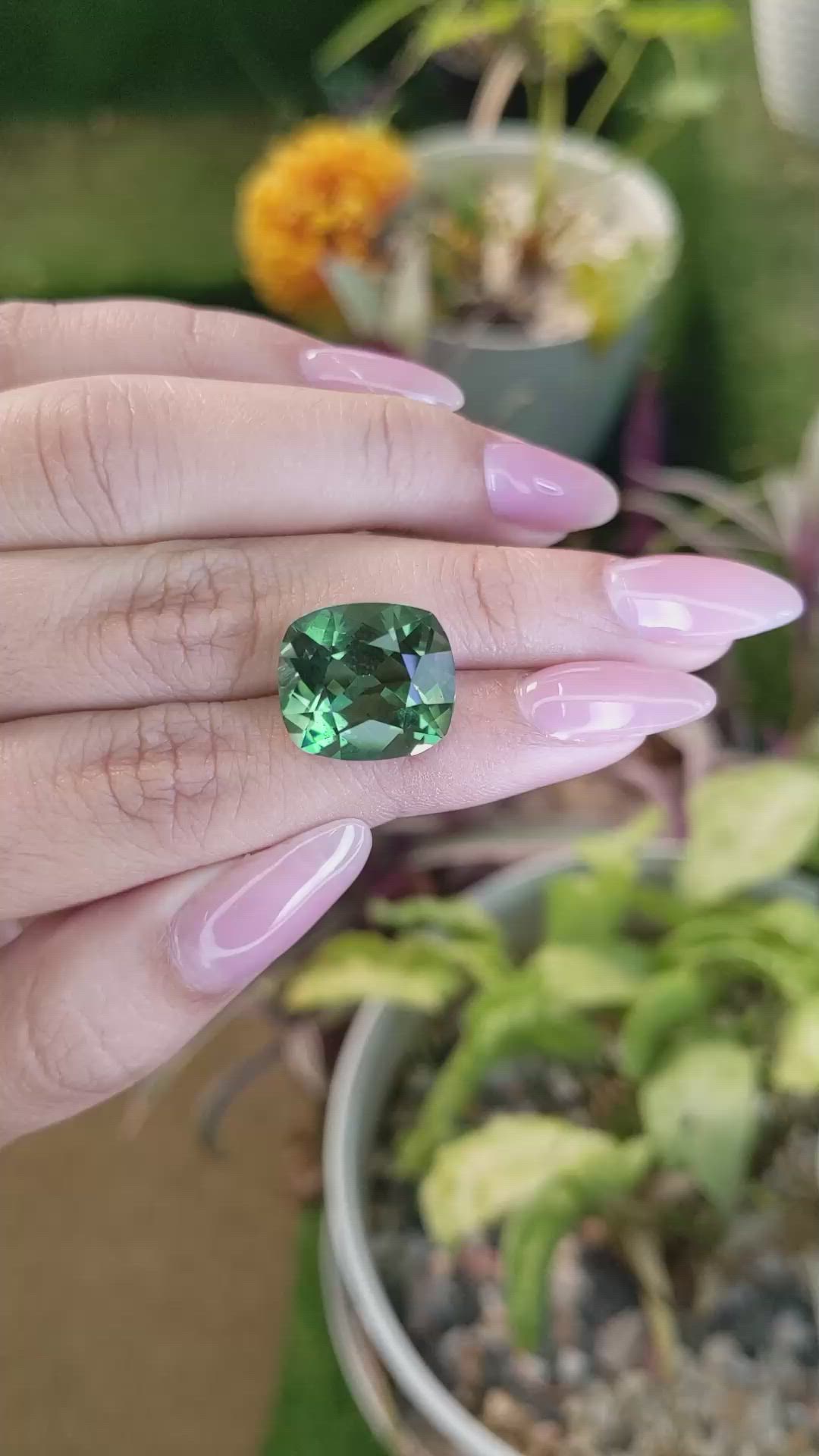 11.91 Ct. Prasiolite from Madagascar Size Video