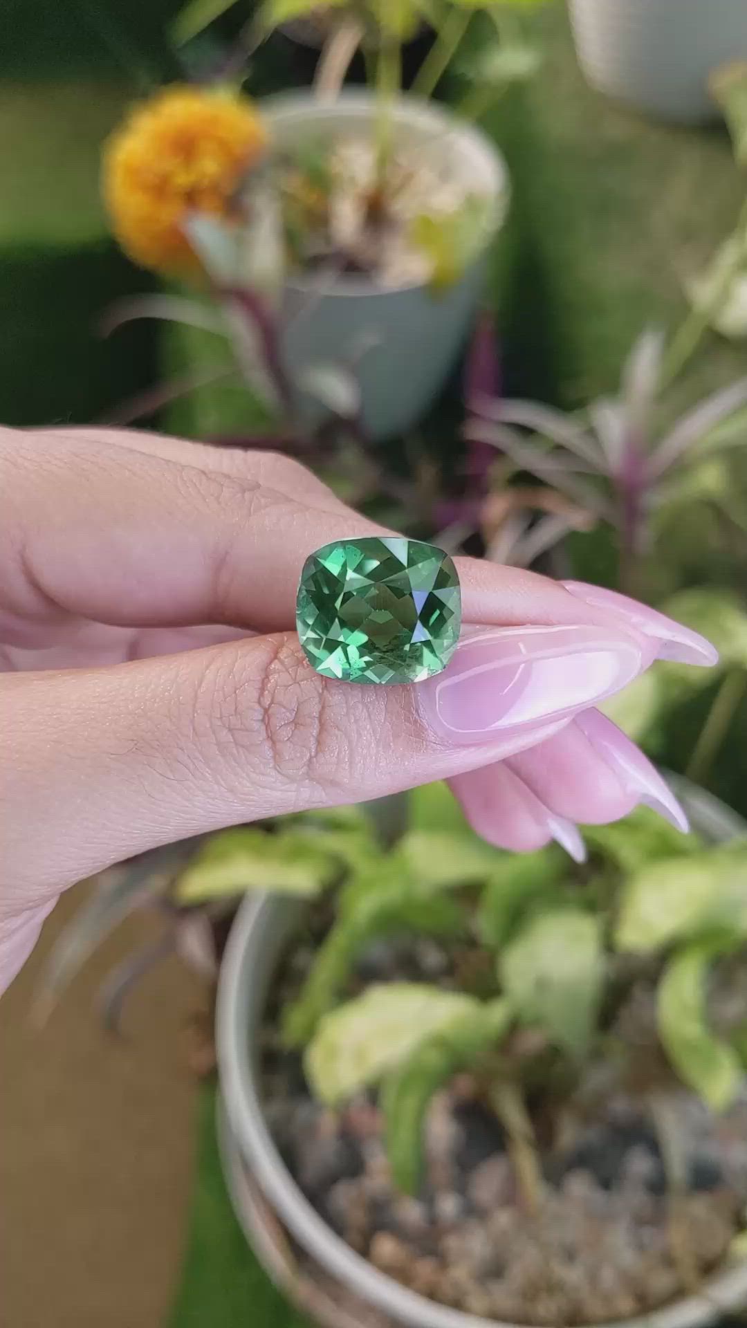 11.91 Ct. Prasiolite from Madagascar Size Video