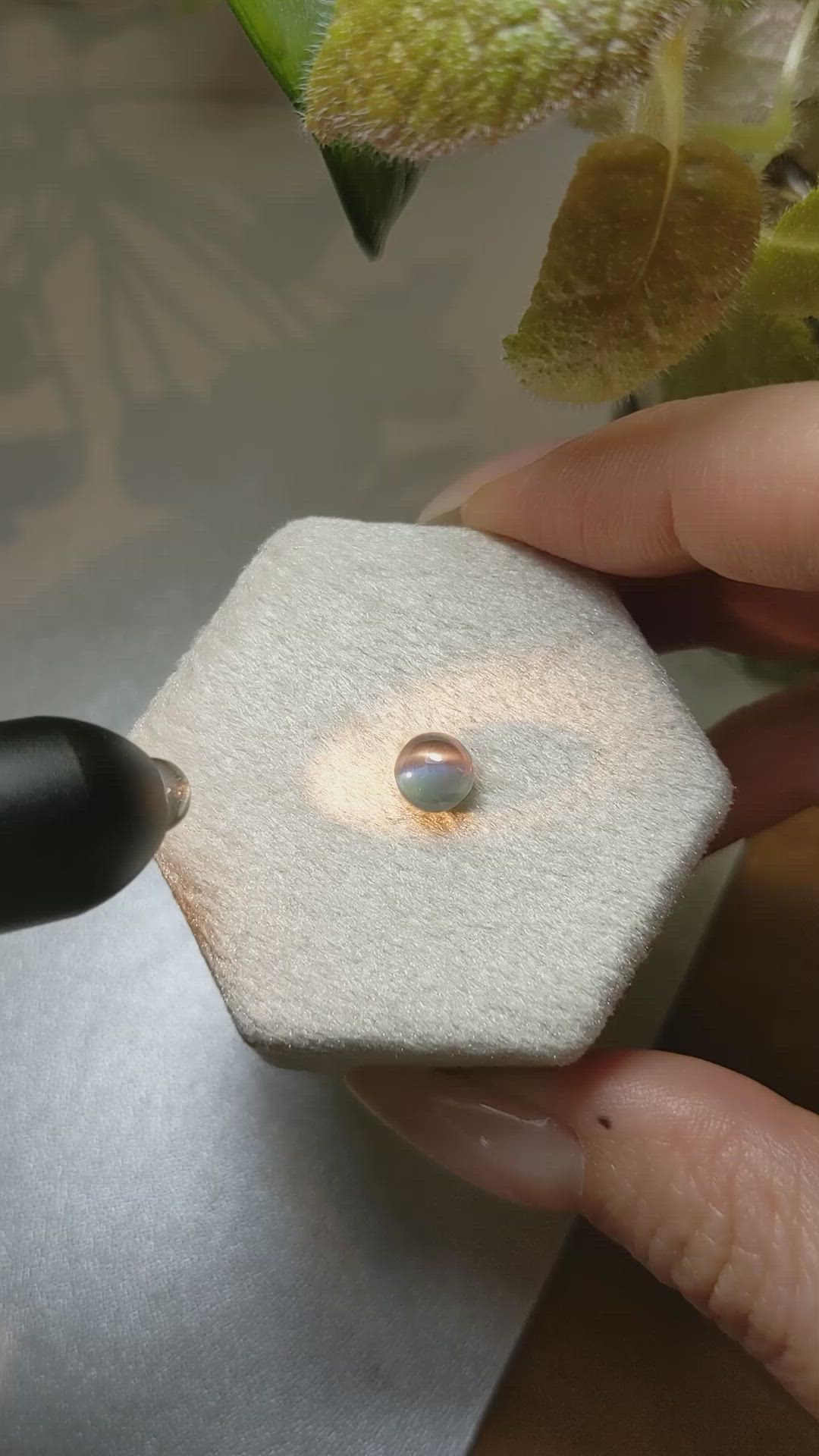 1.67 Ct. Cabochon Alexandrite from Ceylon (Sri Lanka) Size Video