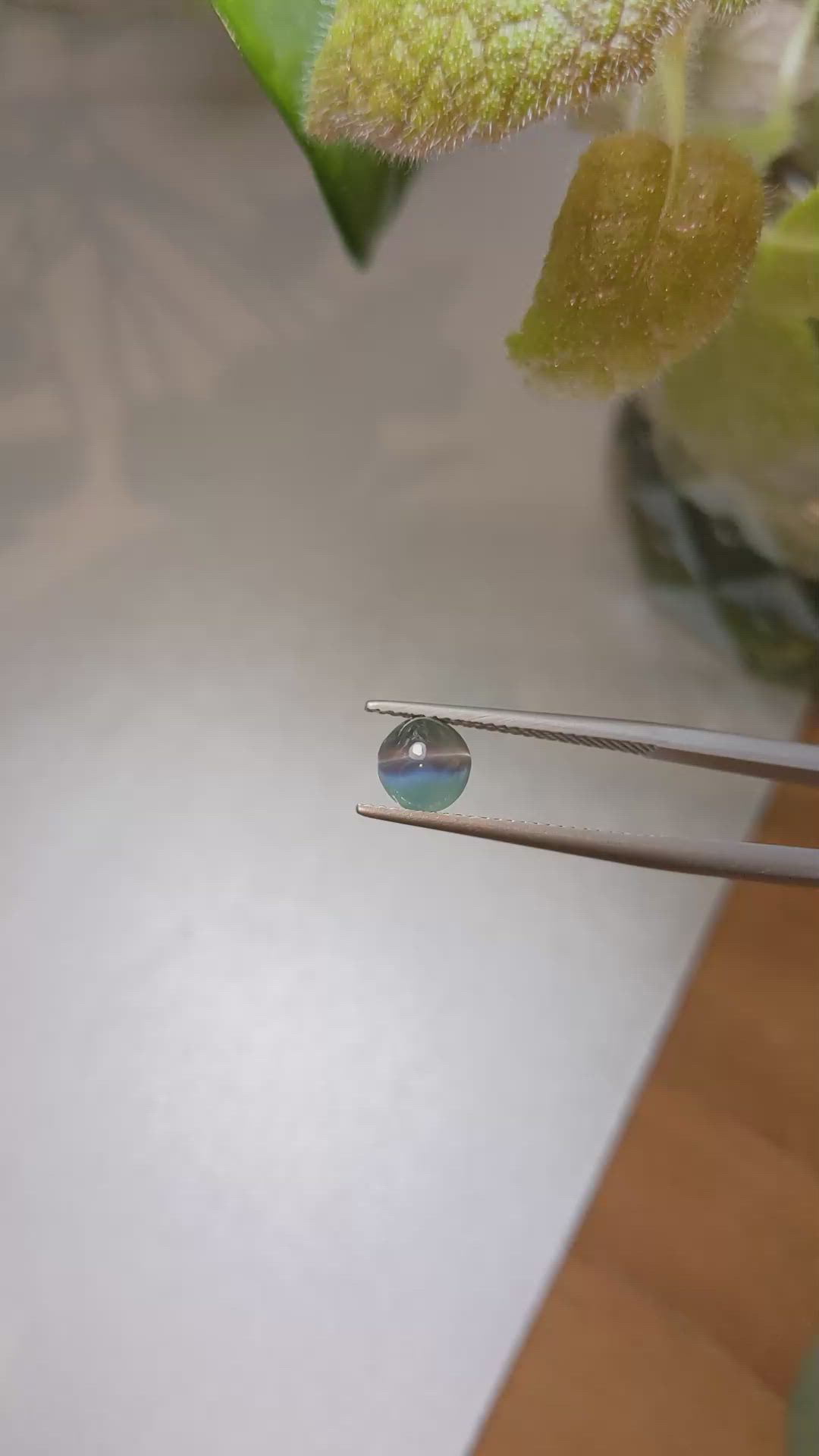 1.67 Ct. Cabochon Alexandrite from Ceylon (Sri Lanka) Size Video