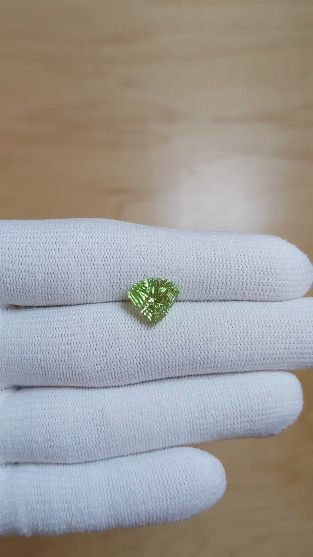 4.39 Ct. Garnet from Mozambique Size Video
