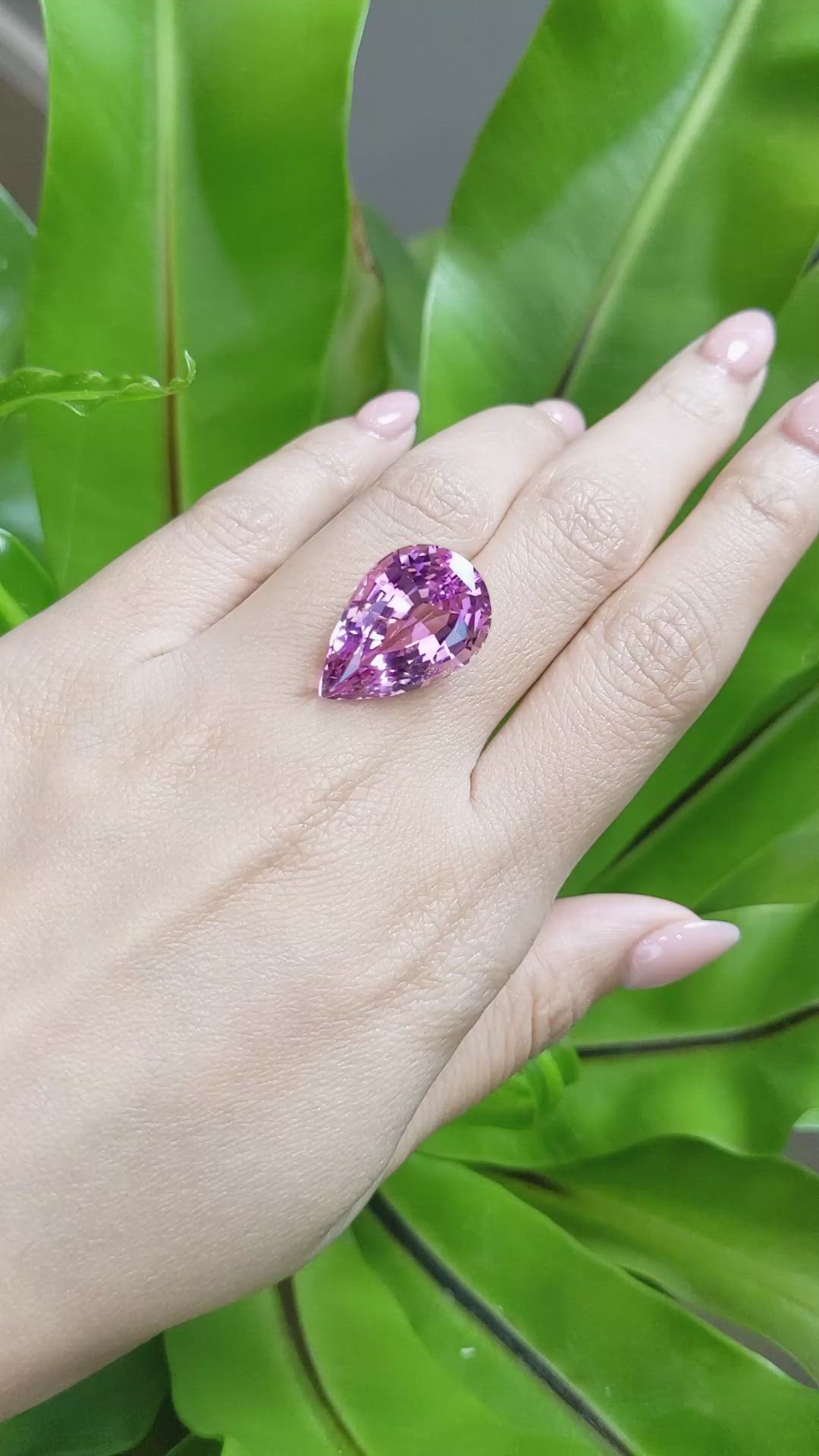 24.28 Ct. Kunzite from Afghanistan Size Video