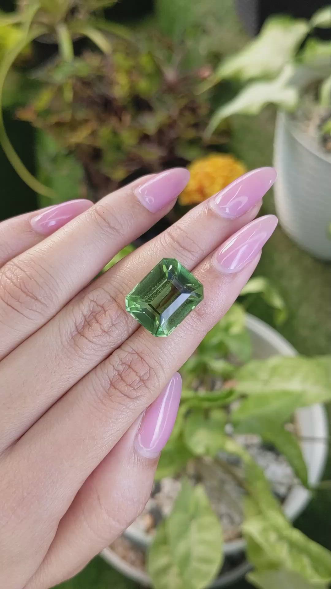 14.76 Ct. Prasiolite from Brazil Size Video