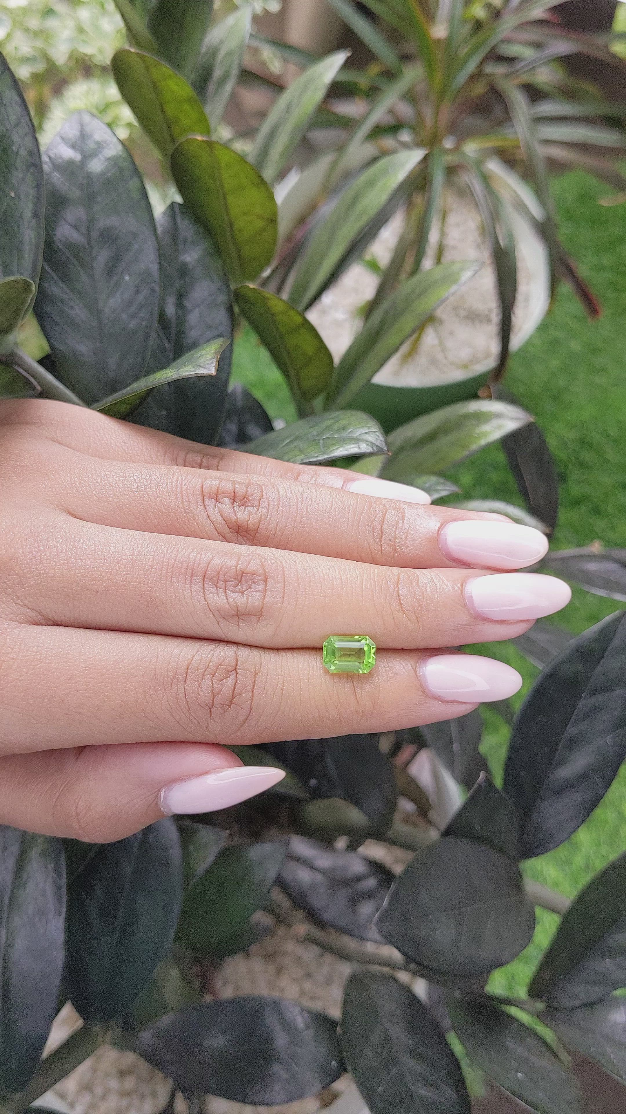 1.76 Ct. Peridot from Tanzania Size Video