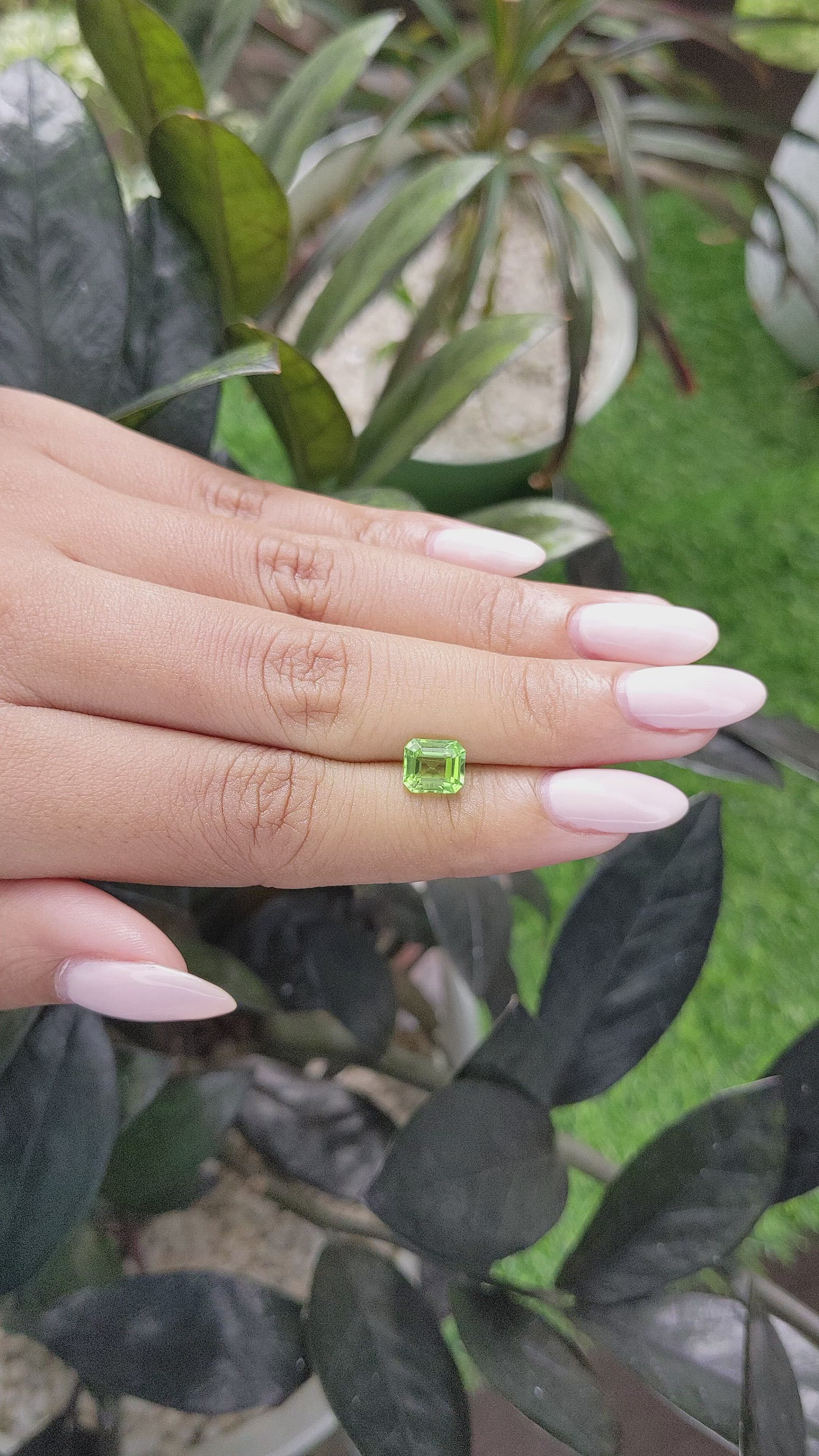 1.59 Ct. Peridot from Tanzania Size Video