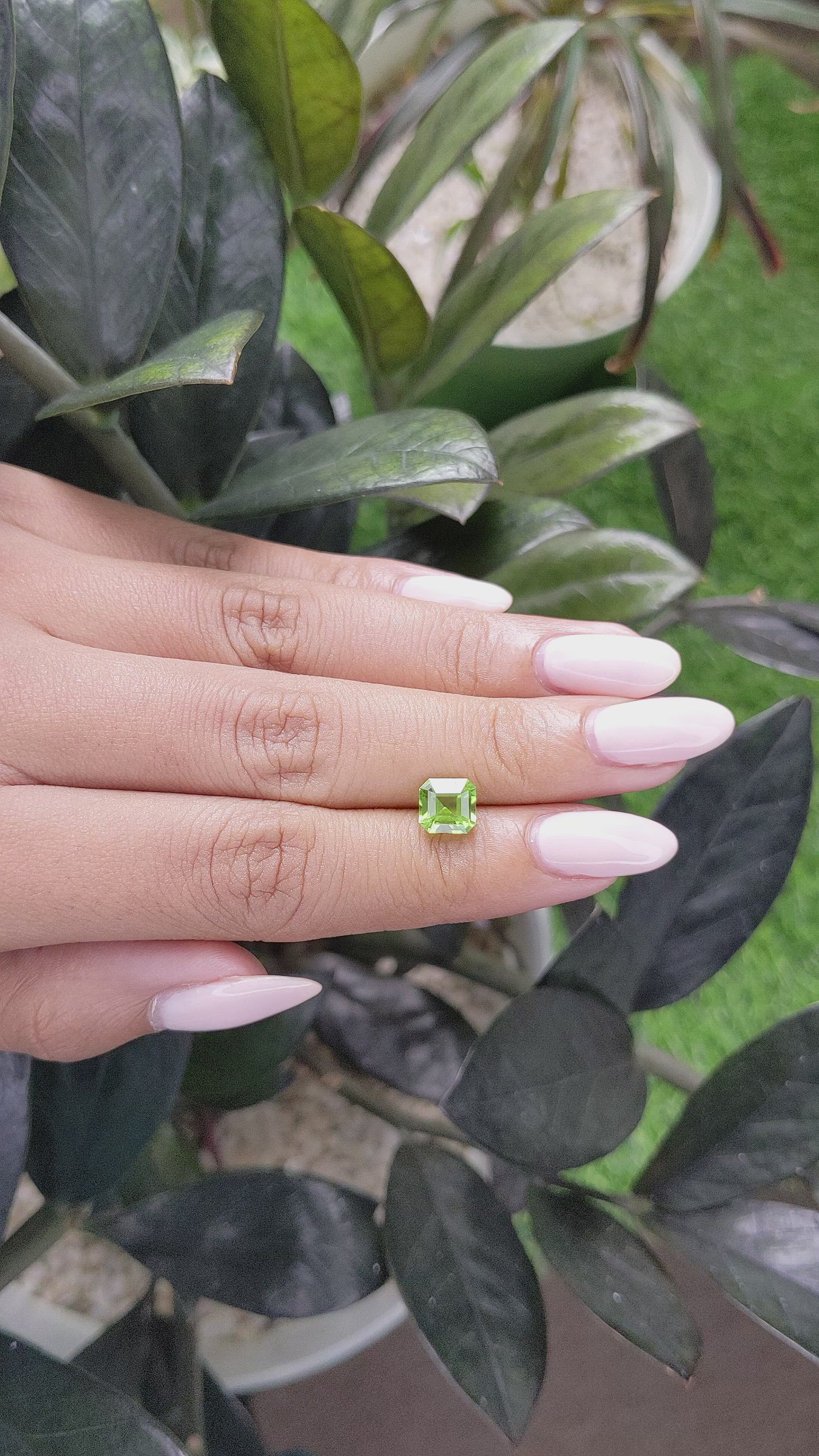 1.66 Ct. Peridot from Tanzania Size Video