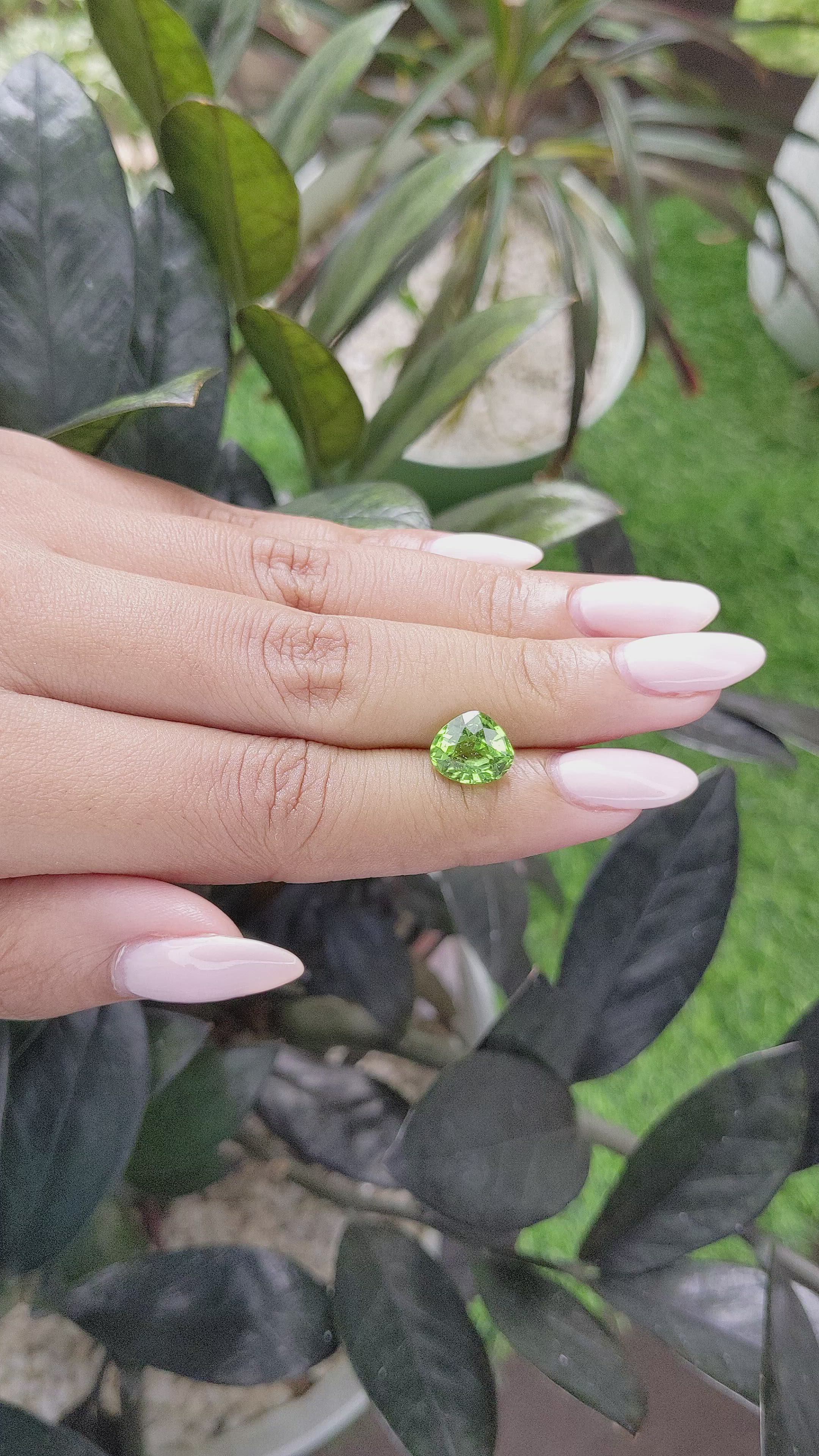2.76 Ct. Peridot from Tanzania Size Video
