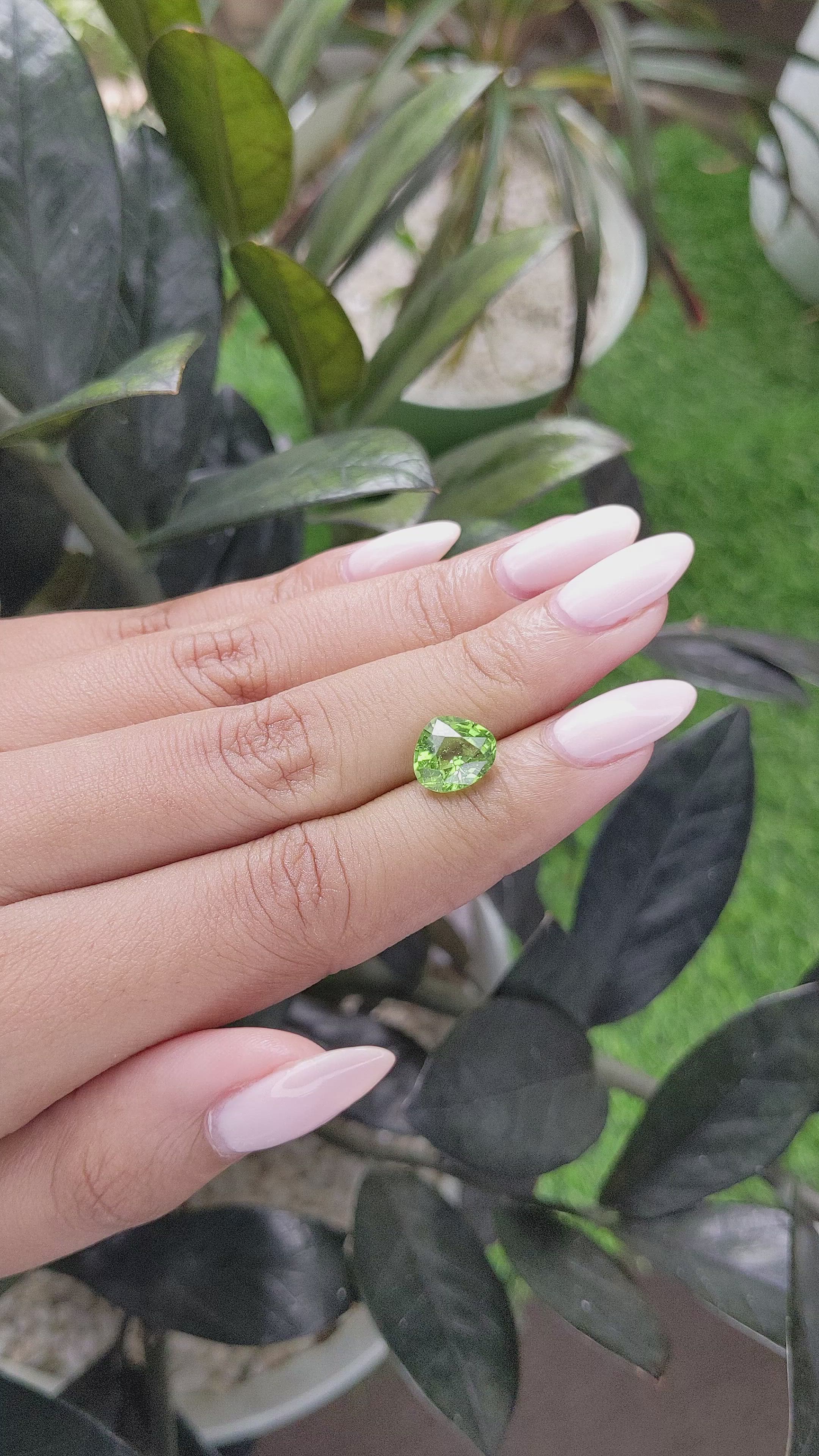 2.76 Ct. Peridot from Tanzania Size Video