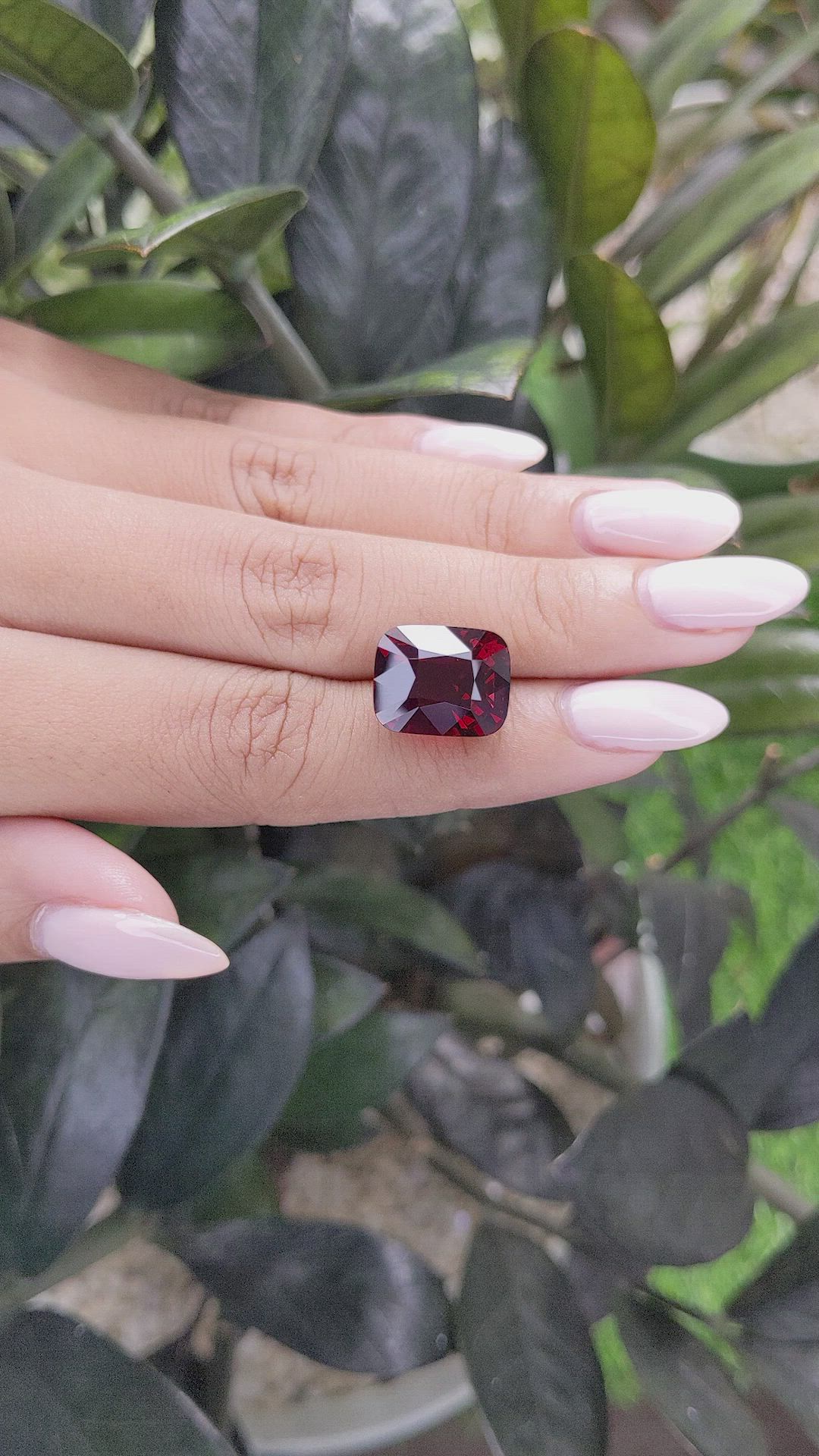 13.47 Ct. Garnet from Tanzania Size Video