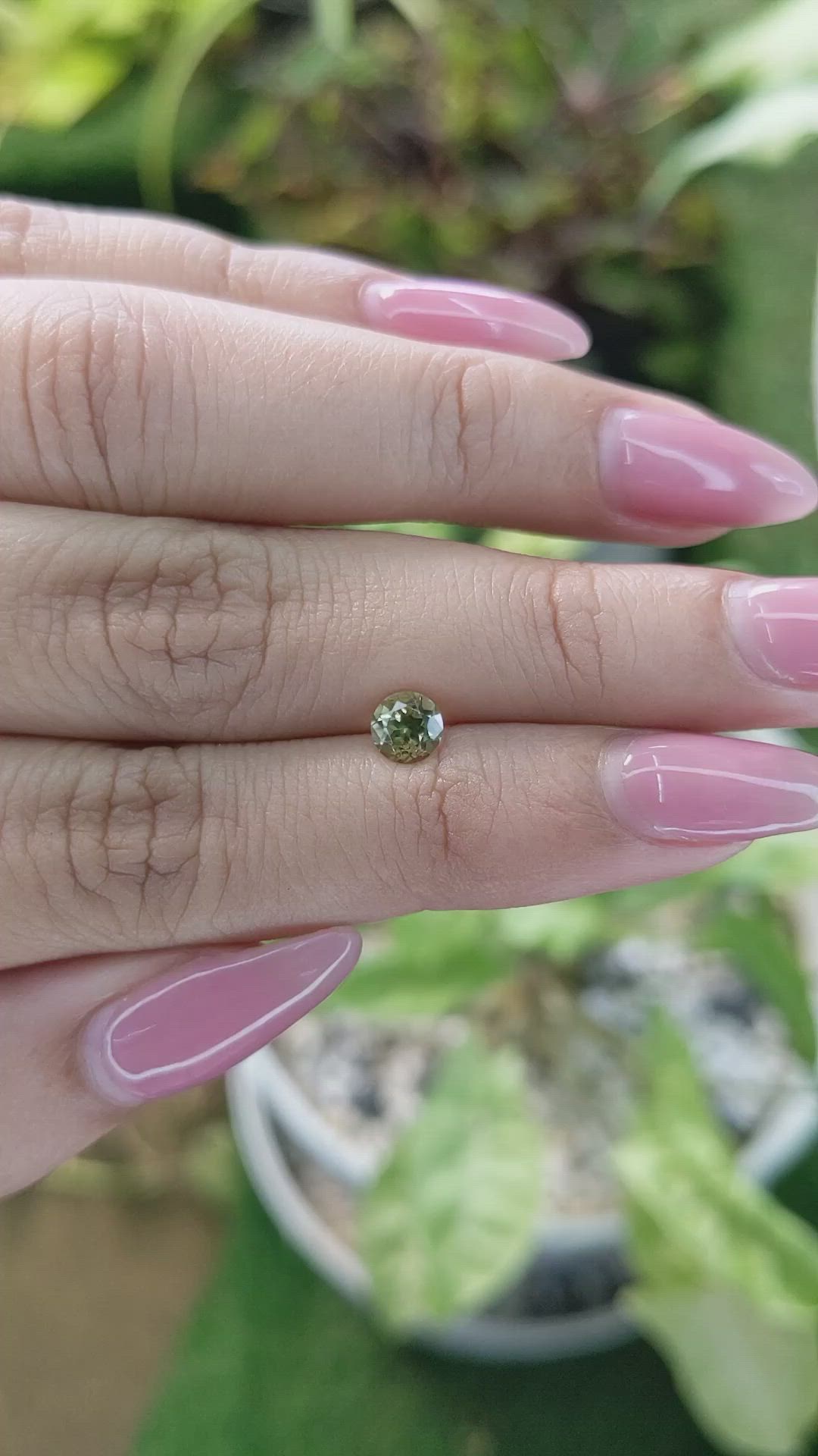 0.53 Ct. Tourmaline from Ceylon (Sri Lanka) Size Video