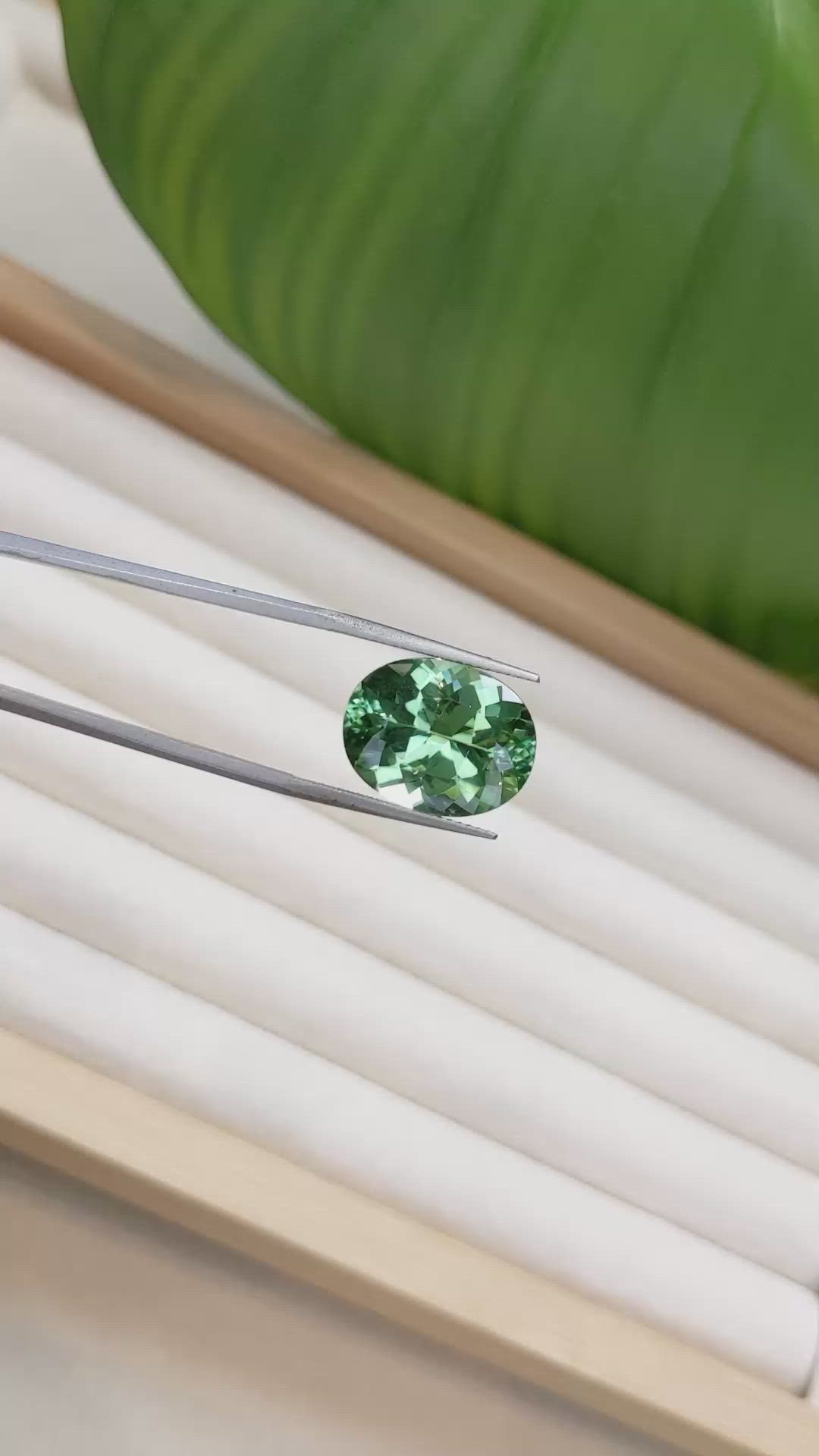 11.21 Ct. Tourmaline from Brazil Size Video