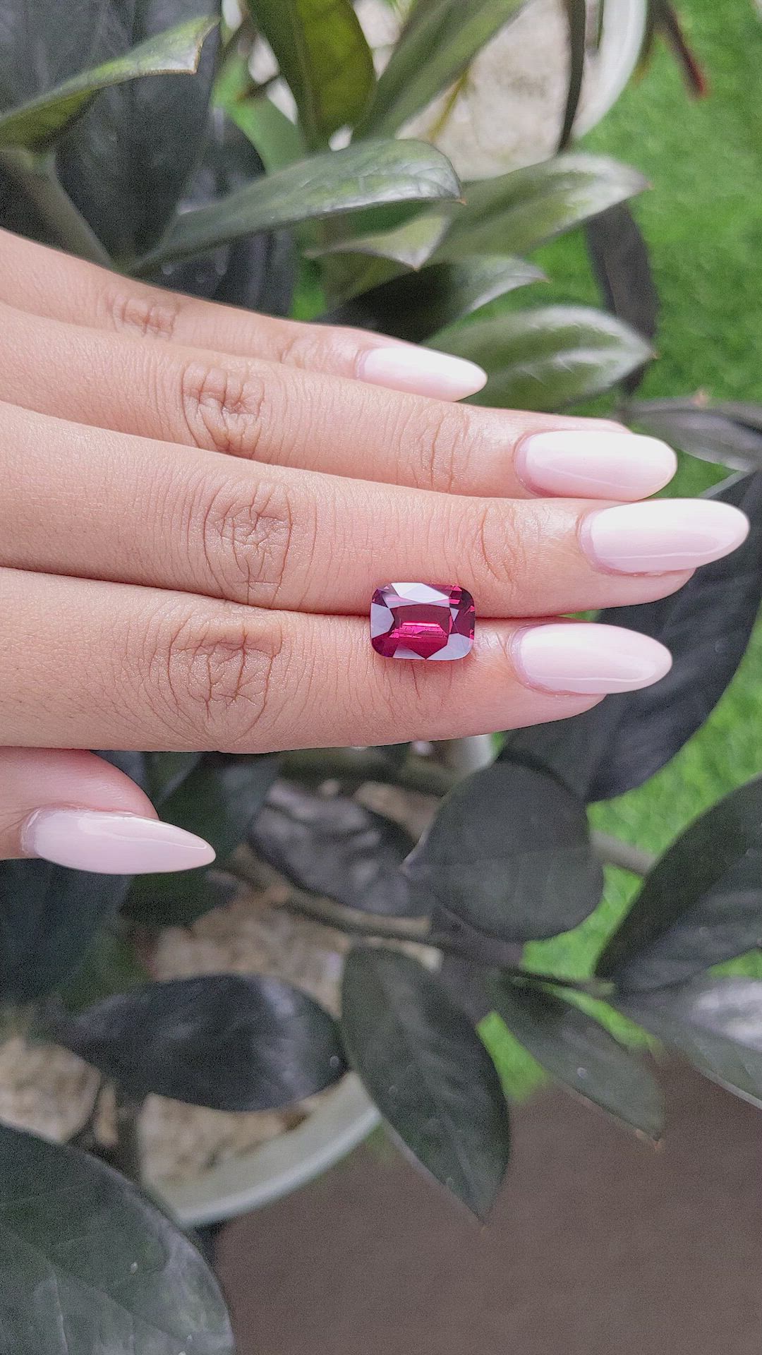 4.45 Ct. Garnet from South Africa Size Video
