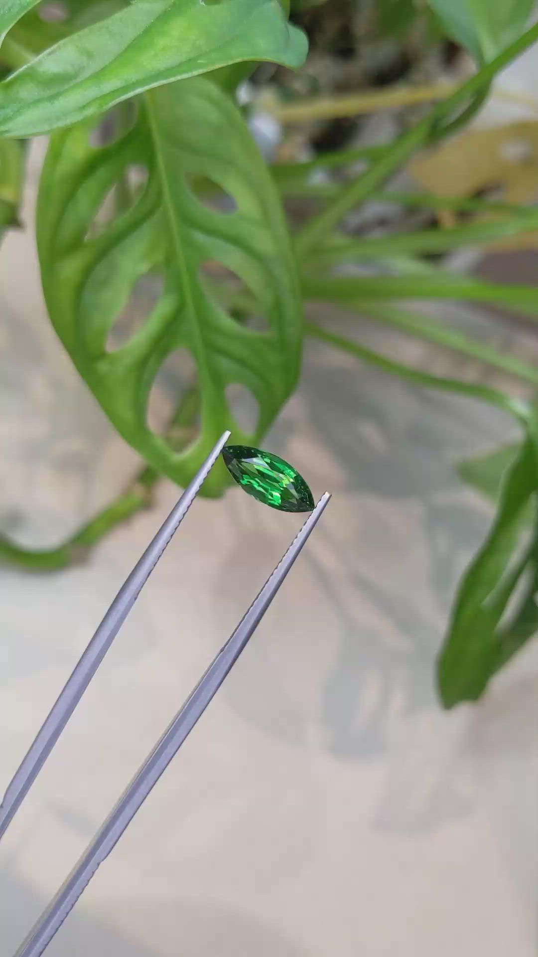 1.73 Ct. Tsavorite Garnet from East Africa Size Video